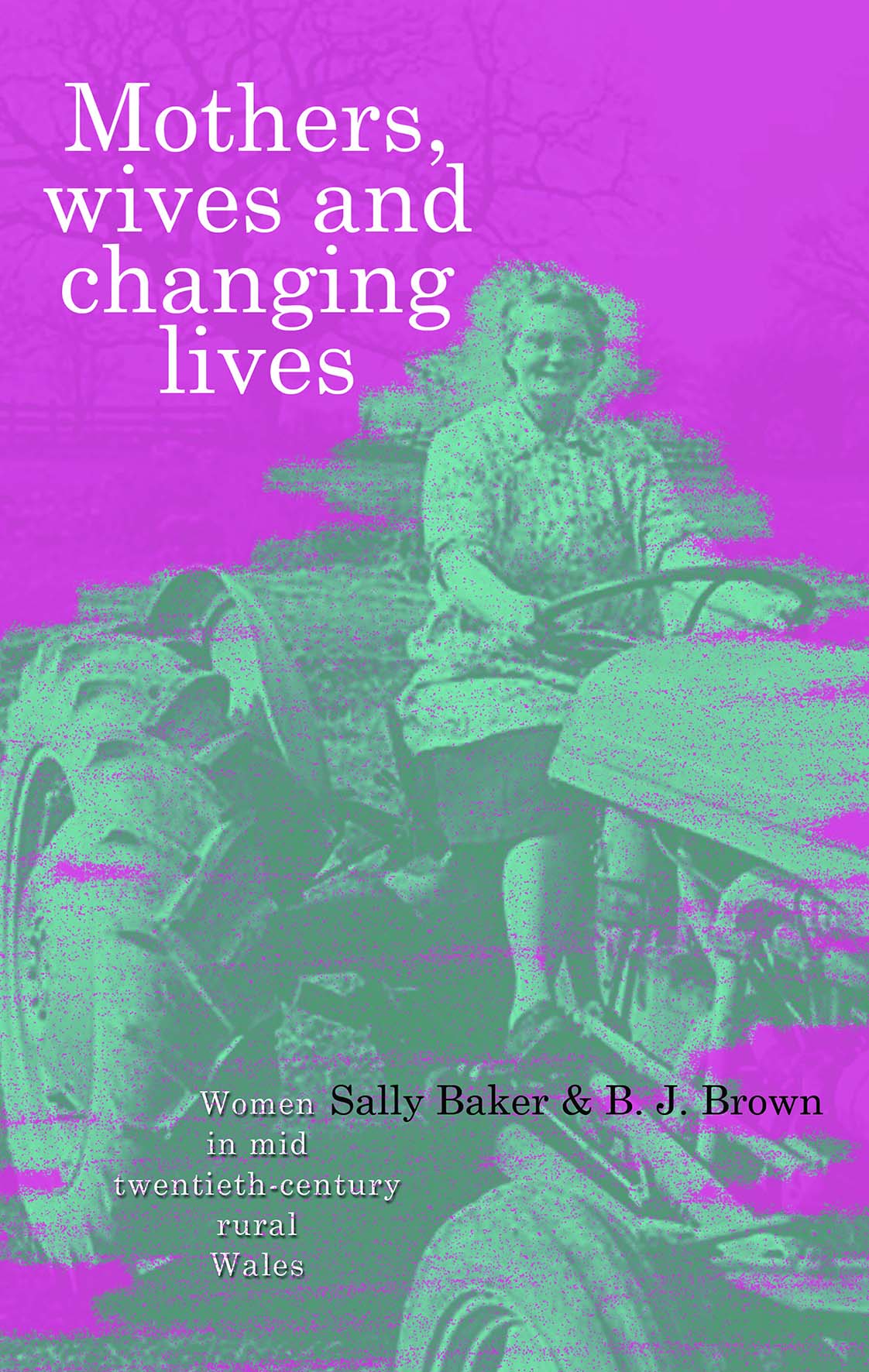 Cover image for Mothers, Wives and Changing Lives