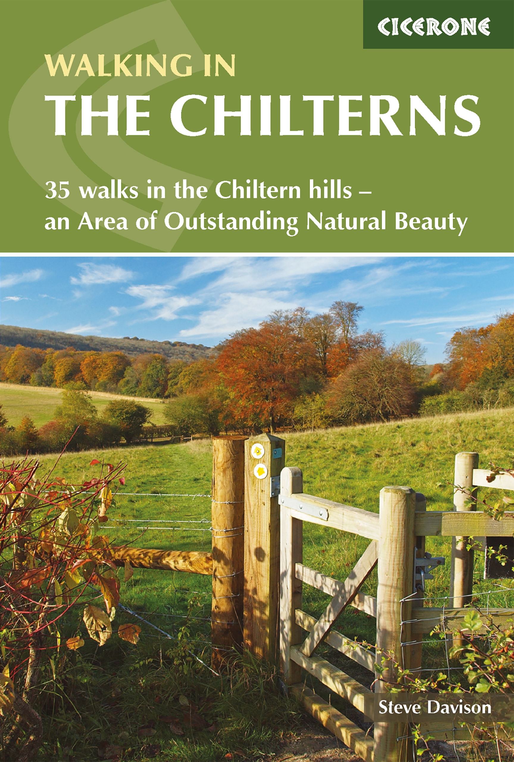Cover image for Walking in the Chilterns