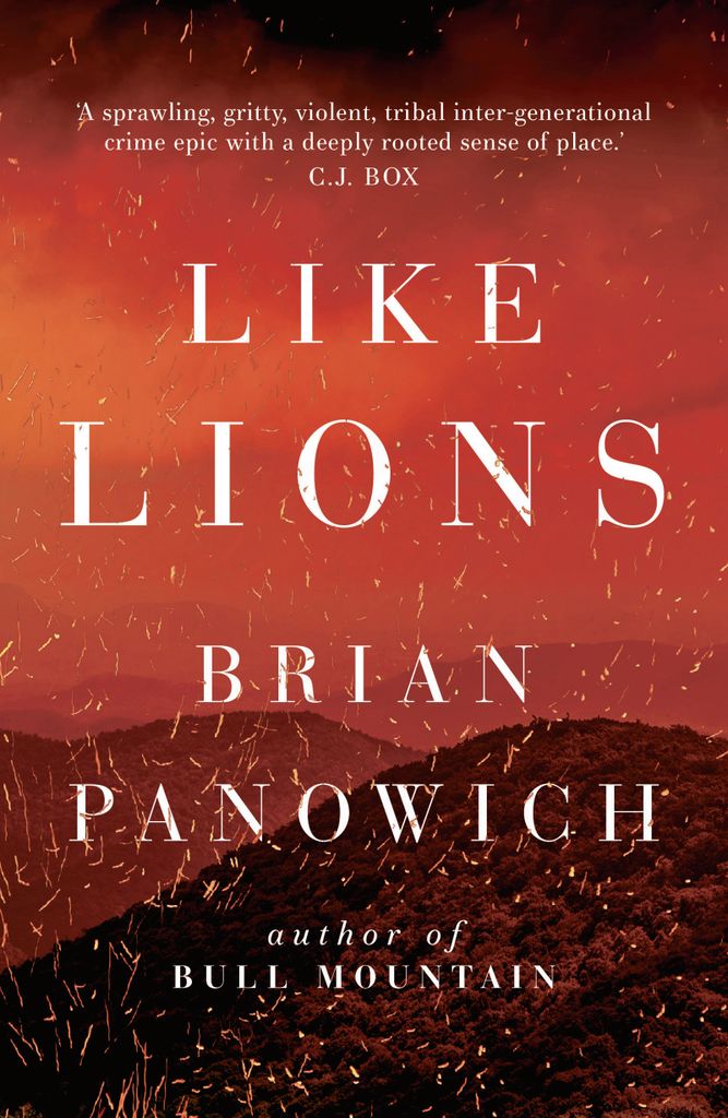 Cover image for Like Lions