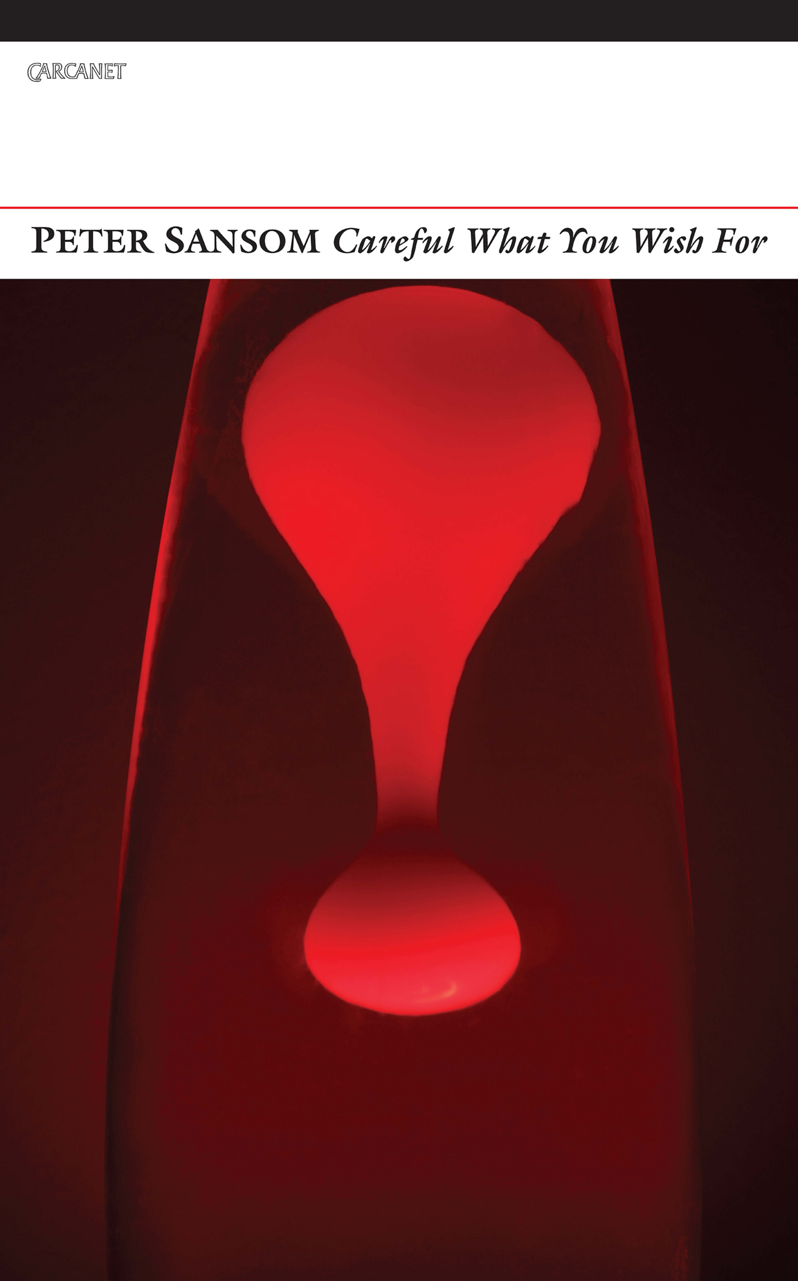 Cover image for Careful What You Wish For