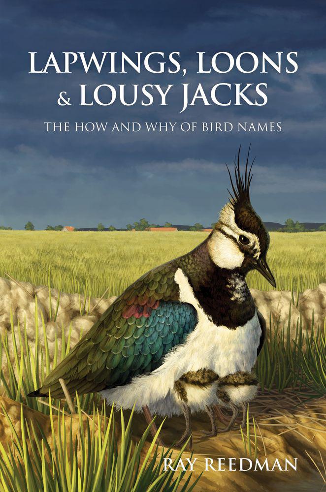 Cover image for Lapwings, Loons and Lousy Jacks