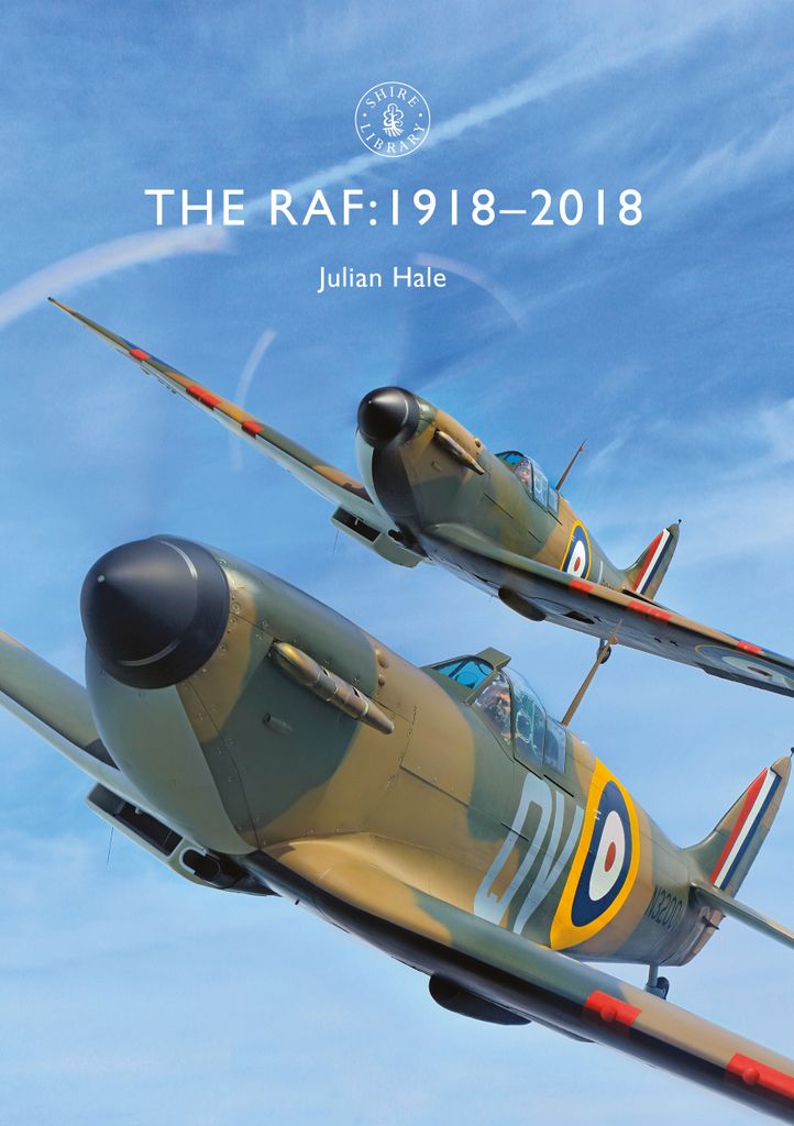 Cover image for The RAF