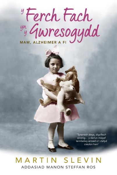 Cover image for Y Ferch Fach yn y Gwresogydd