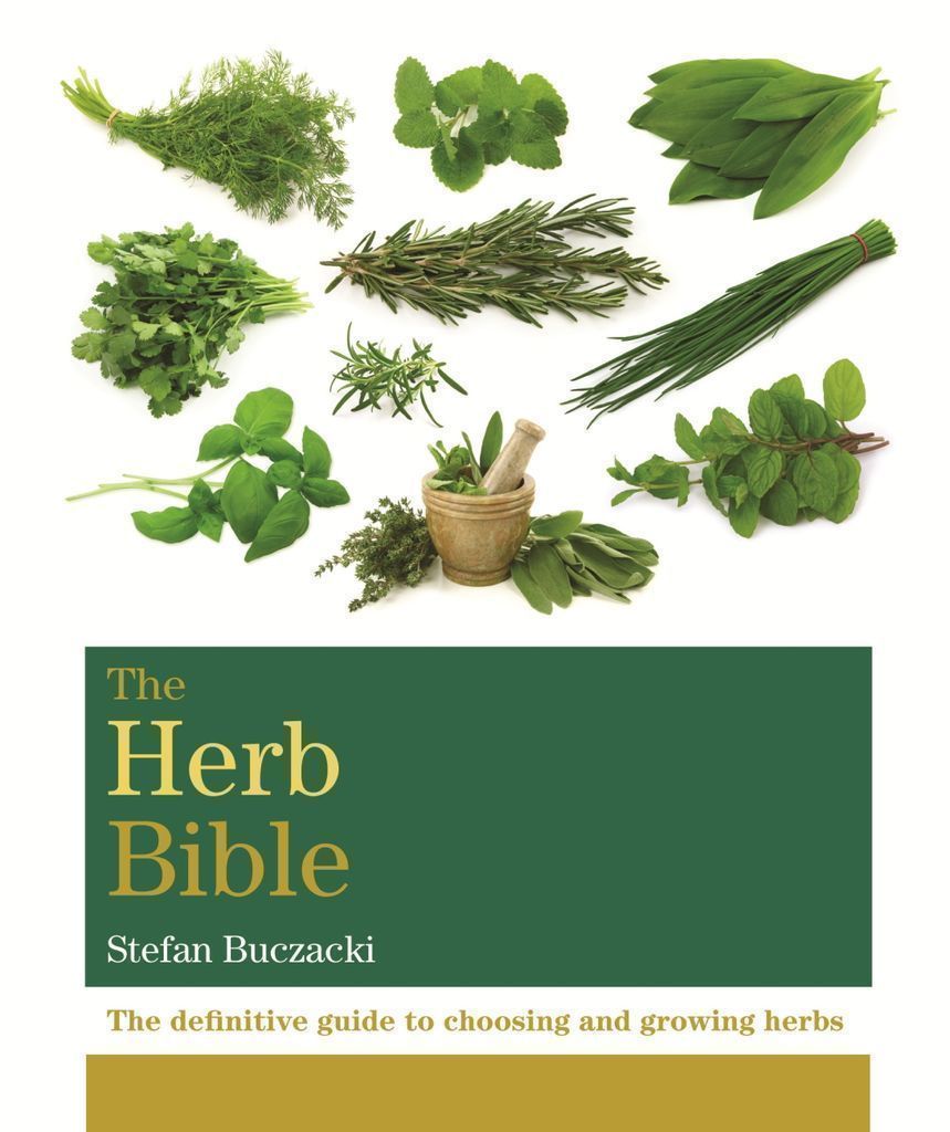 Cover image for The Herb Bible