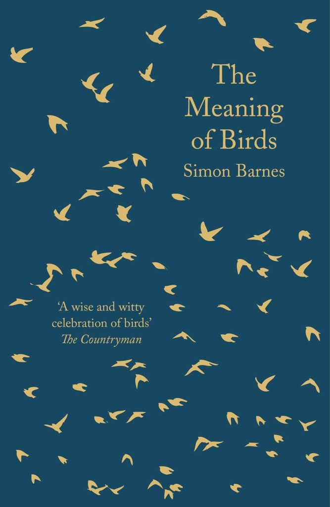 Cover image for The Meaning of Birds