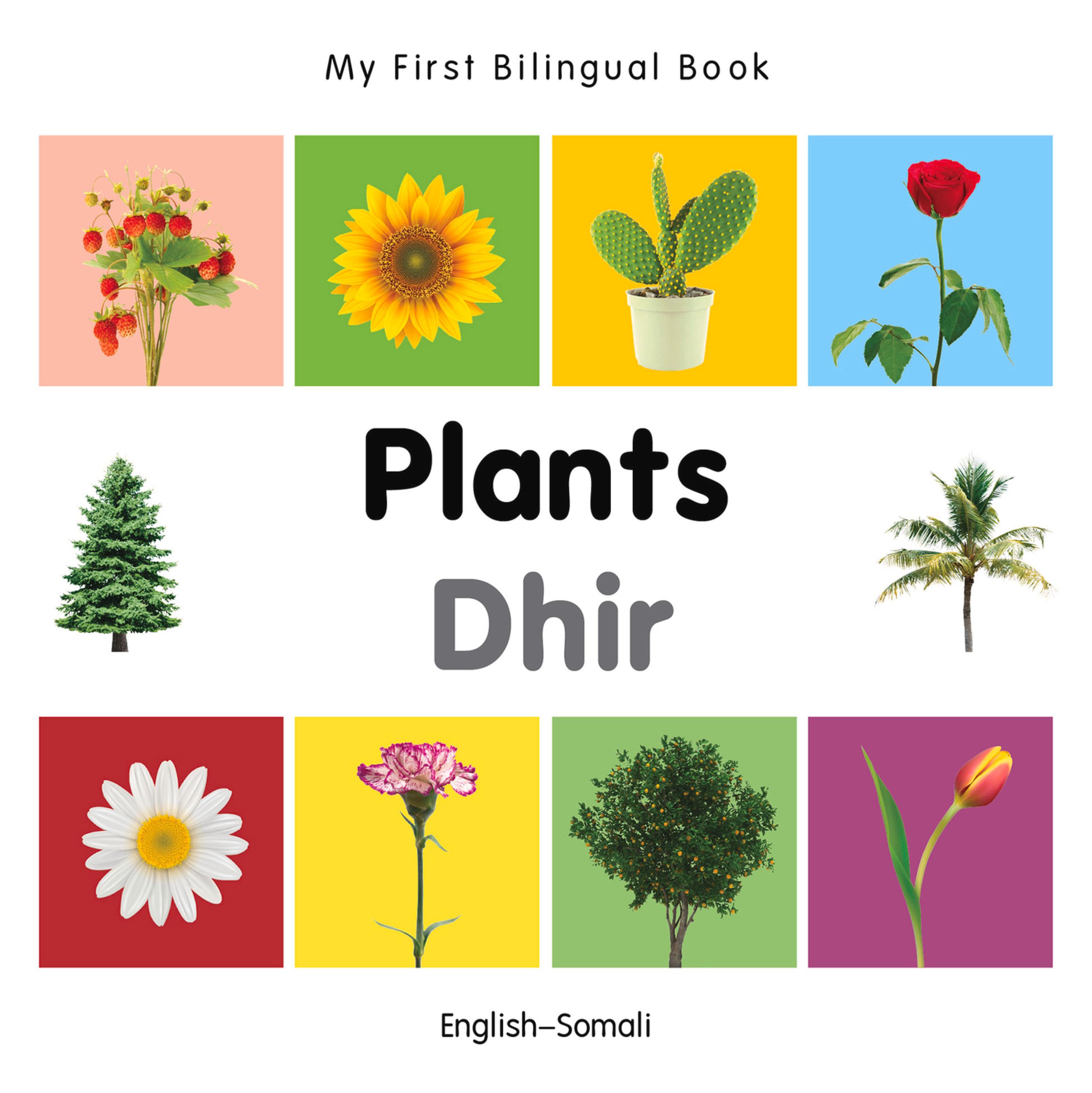 Cover image for My First Bilingual BookPlants (EnglishSomali)