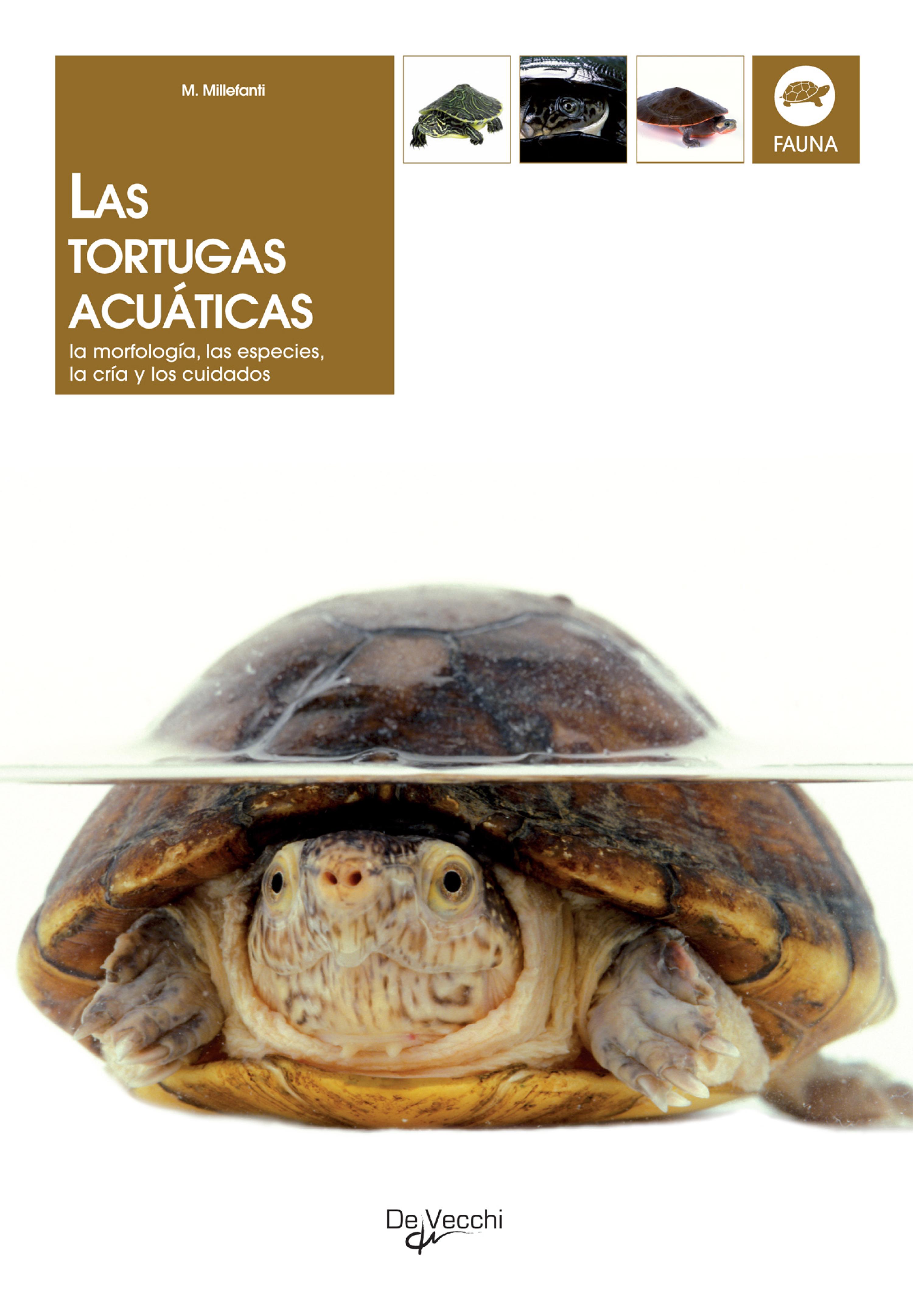 Cover image for Las tortugas acuaticas