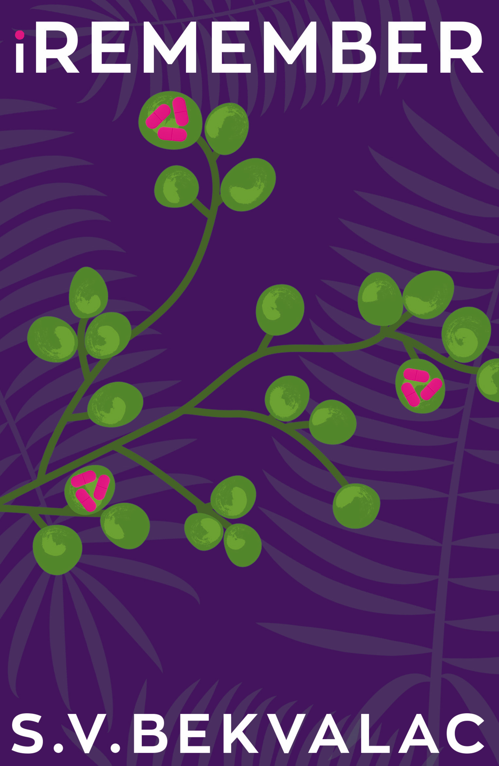 Cover image for iRemember