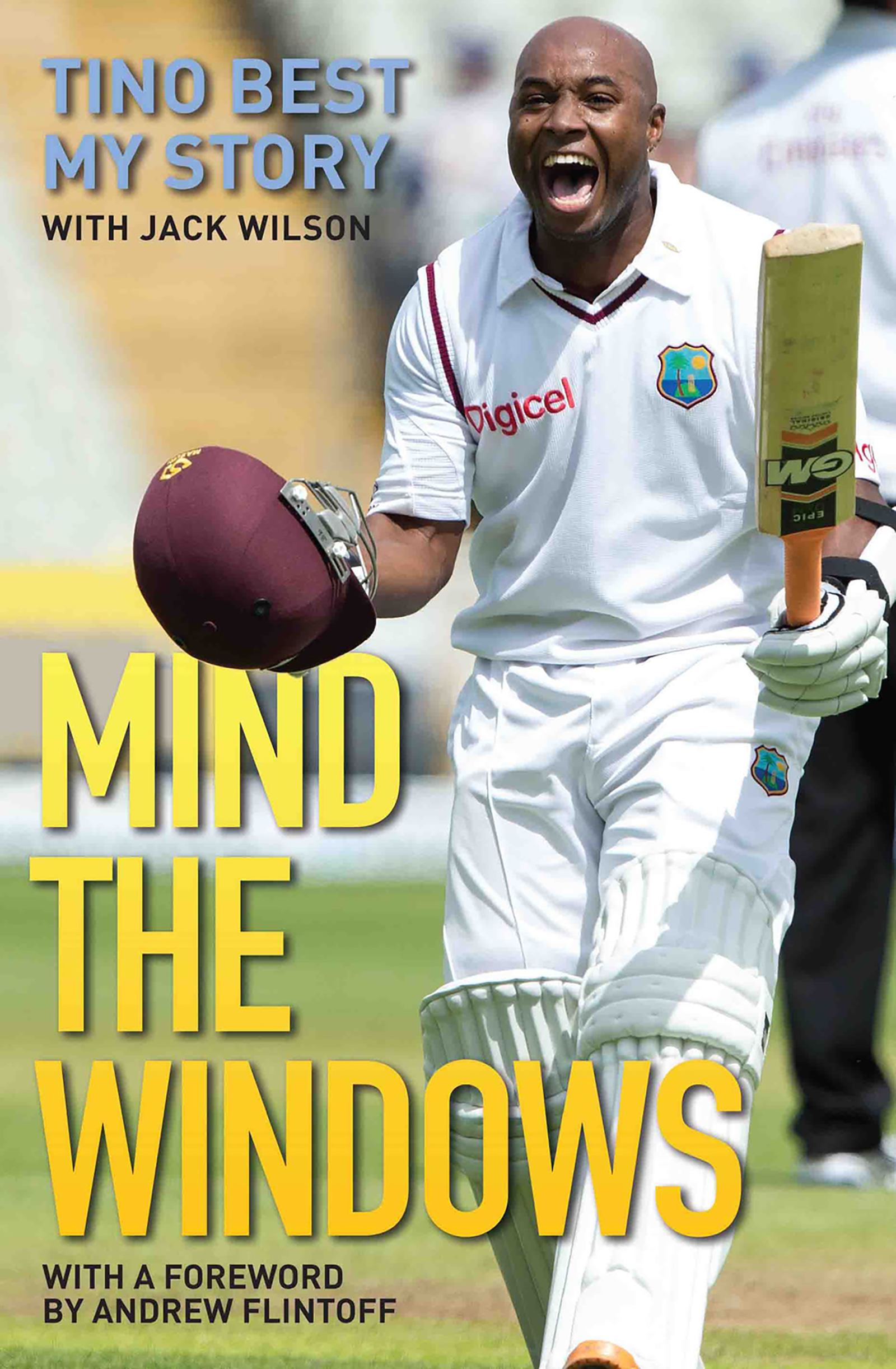 Cover image for Mind the Windows