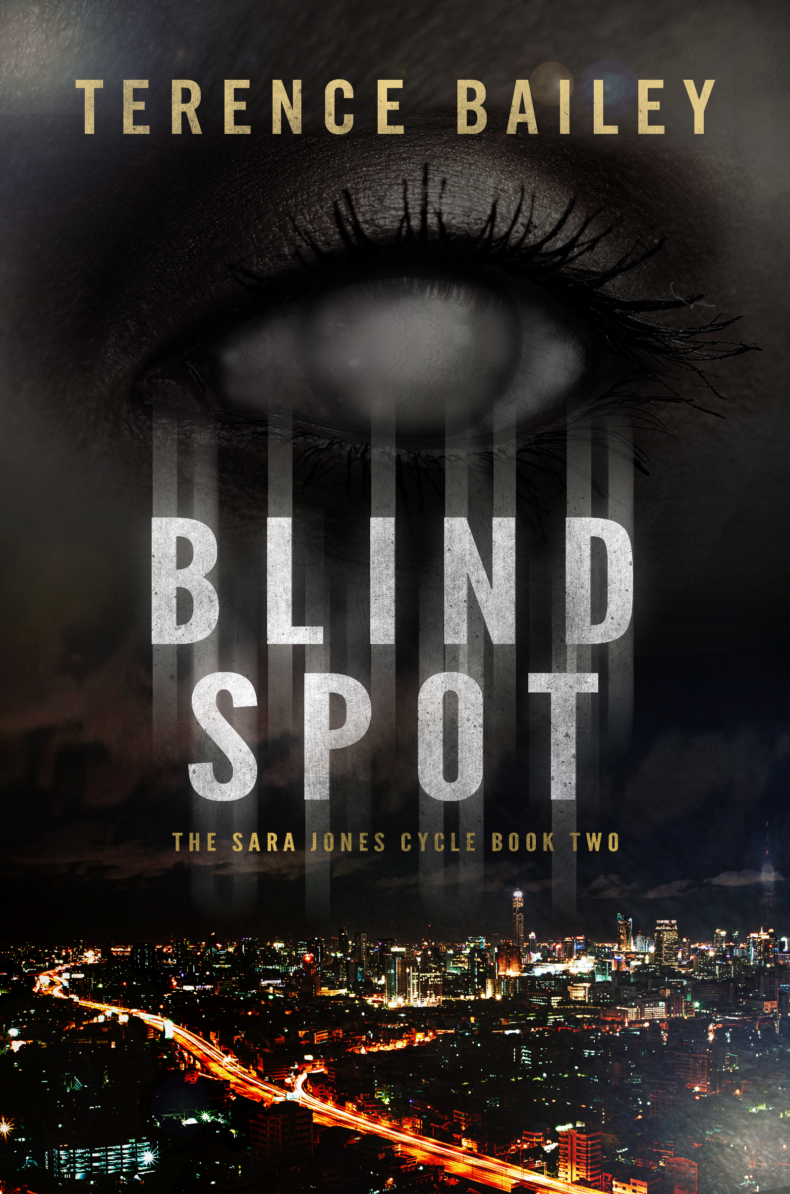 Cover image for Blind Spot