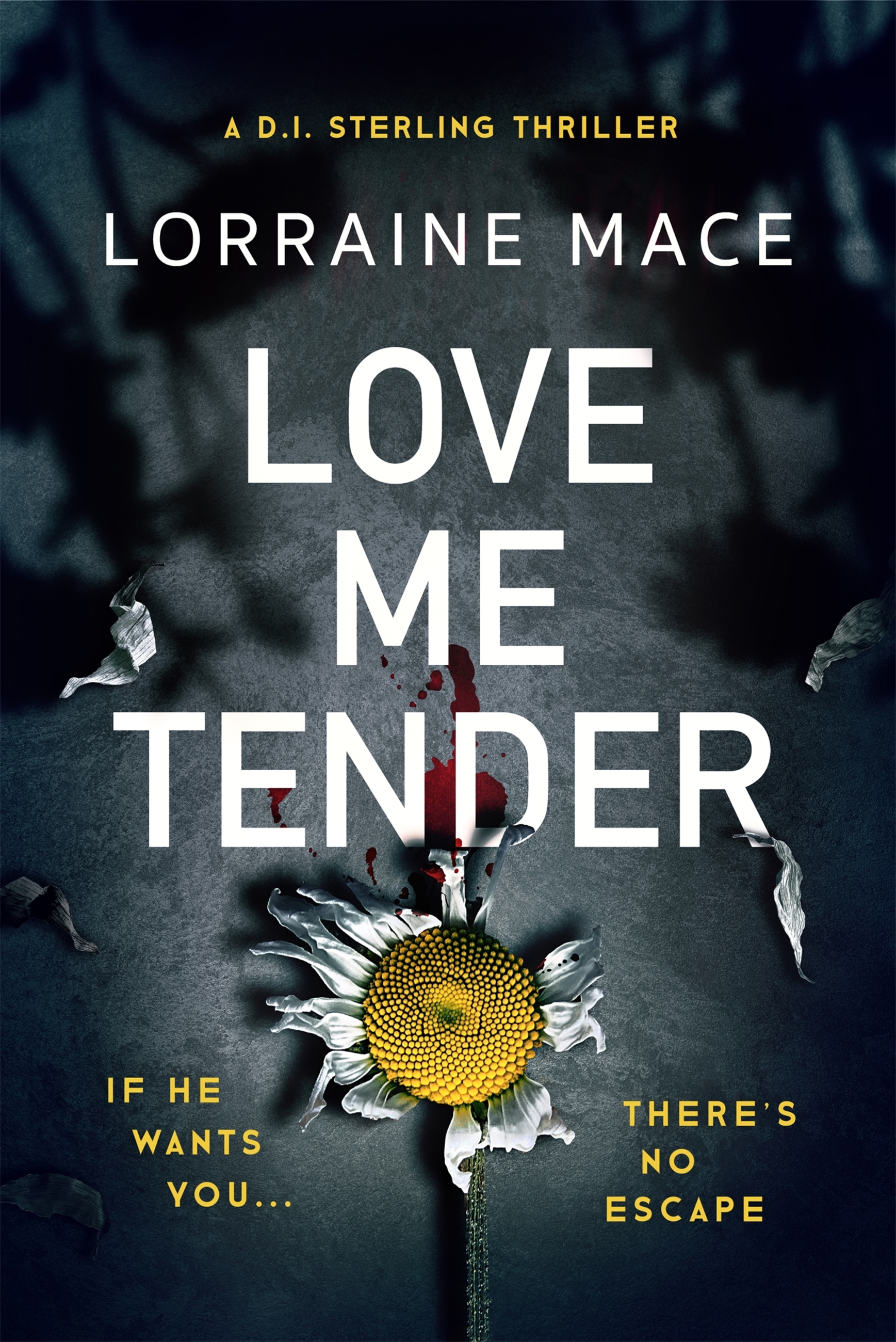Cover image for Love Me Tender