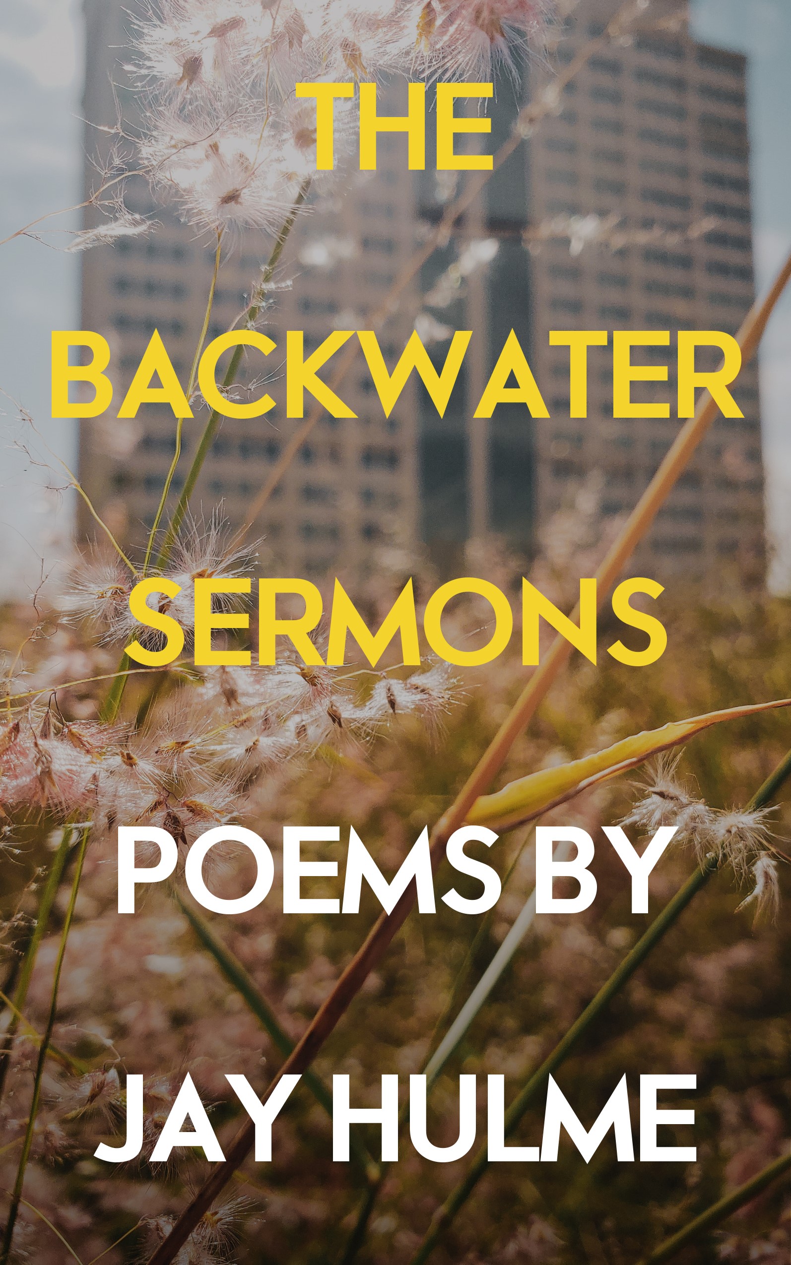 Cover image for The Backwater Sermons