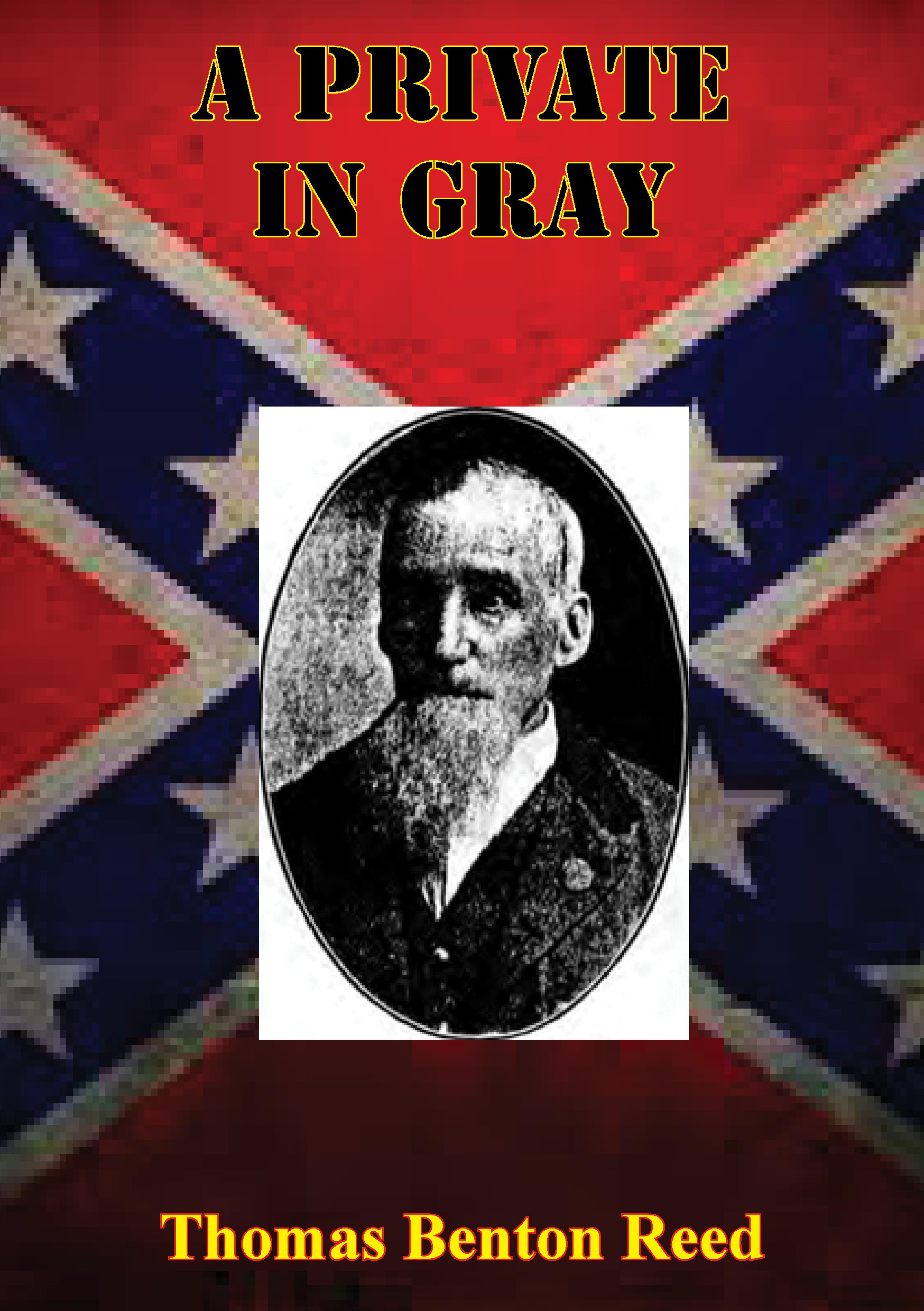 Cover image for A Private In Gray