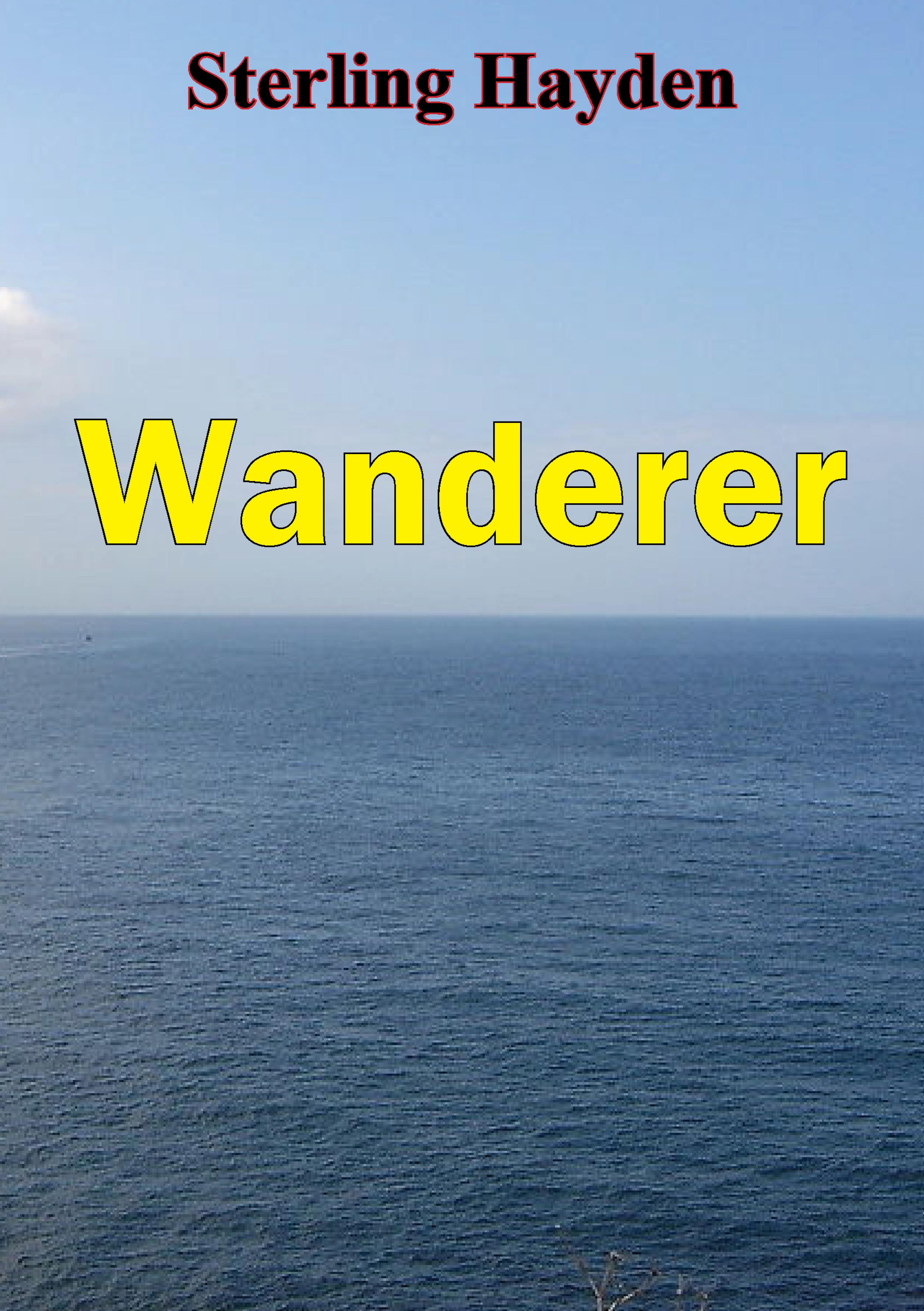 Cover image for Wanderer