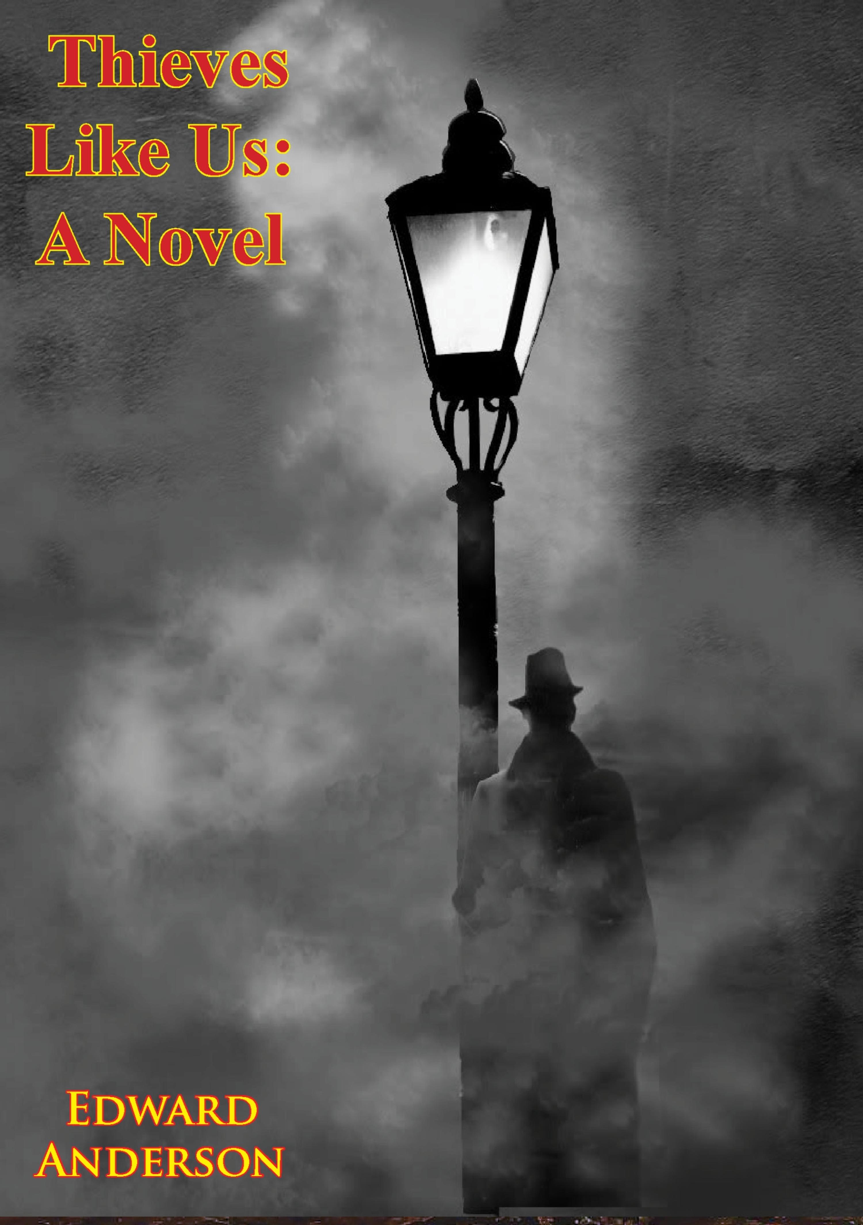 Cover image for Thieves Like Us