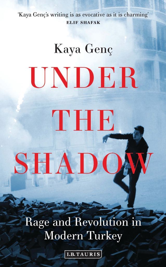 Cover image for Under the Shadow
