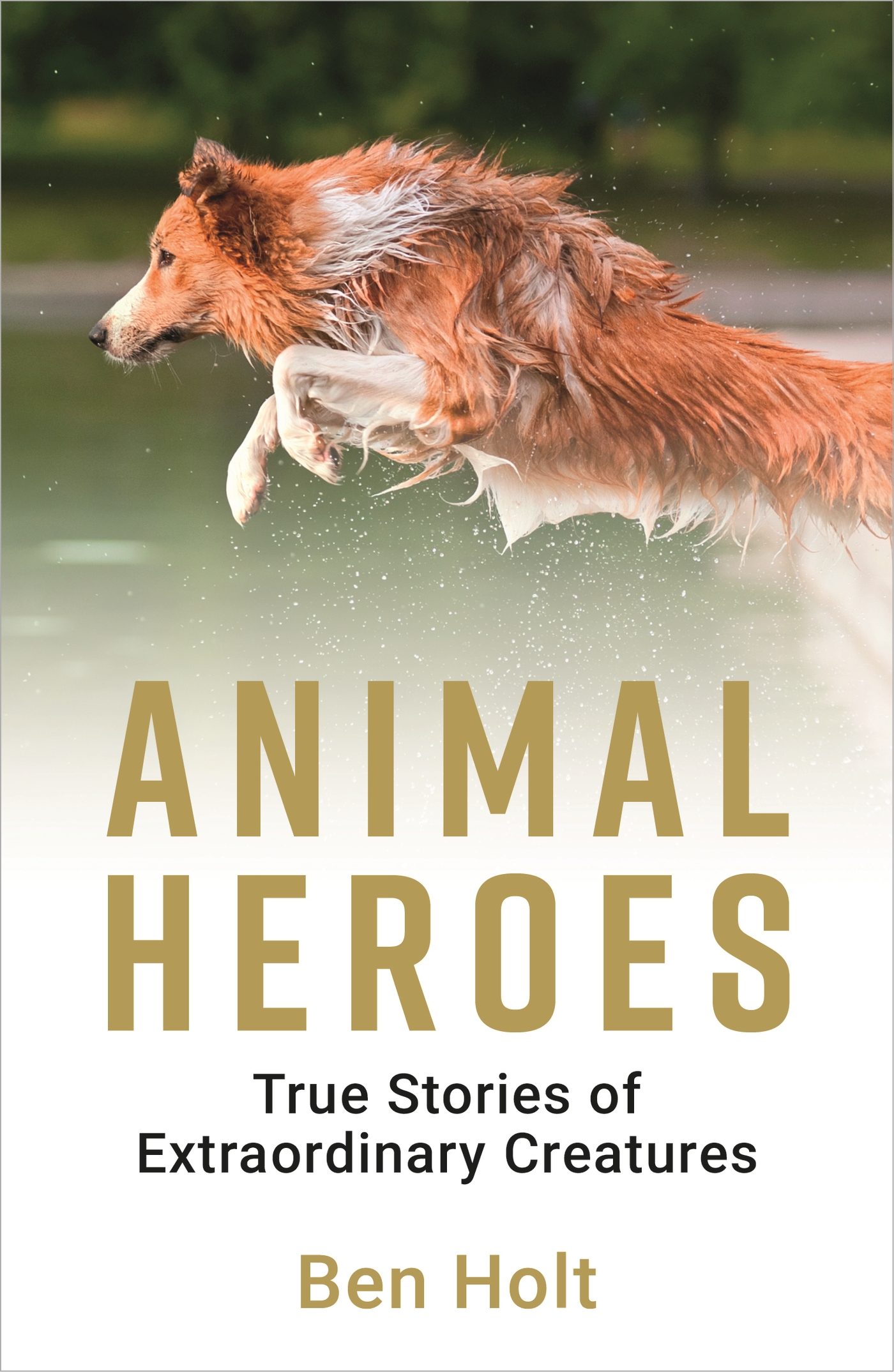 Cover image for Animal Heroes