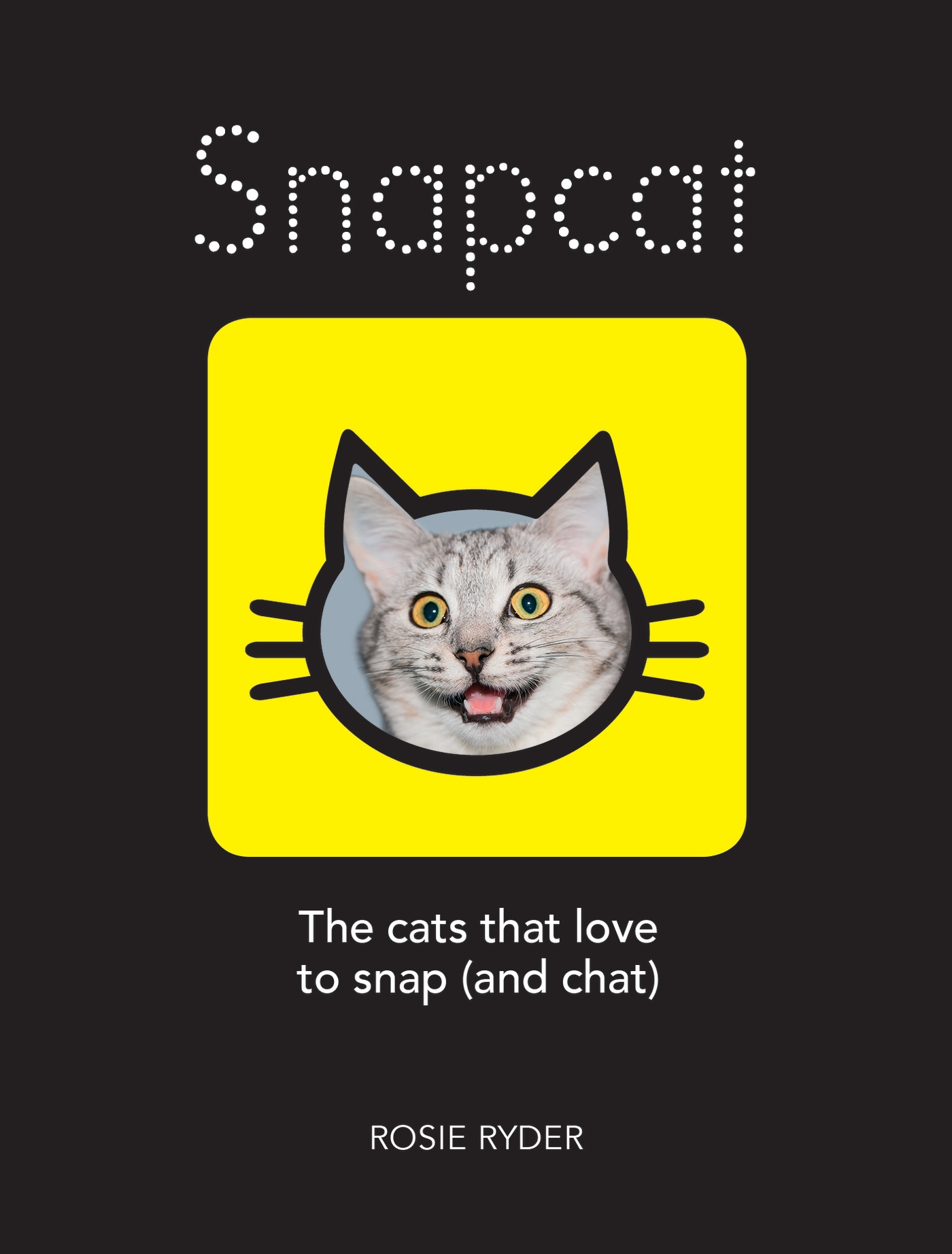 Cover image for Snapcat