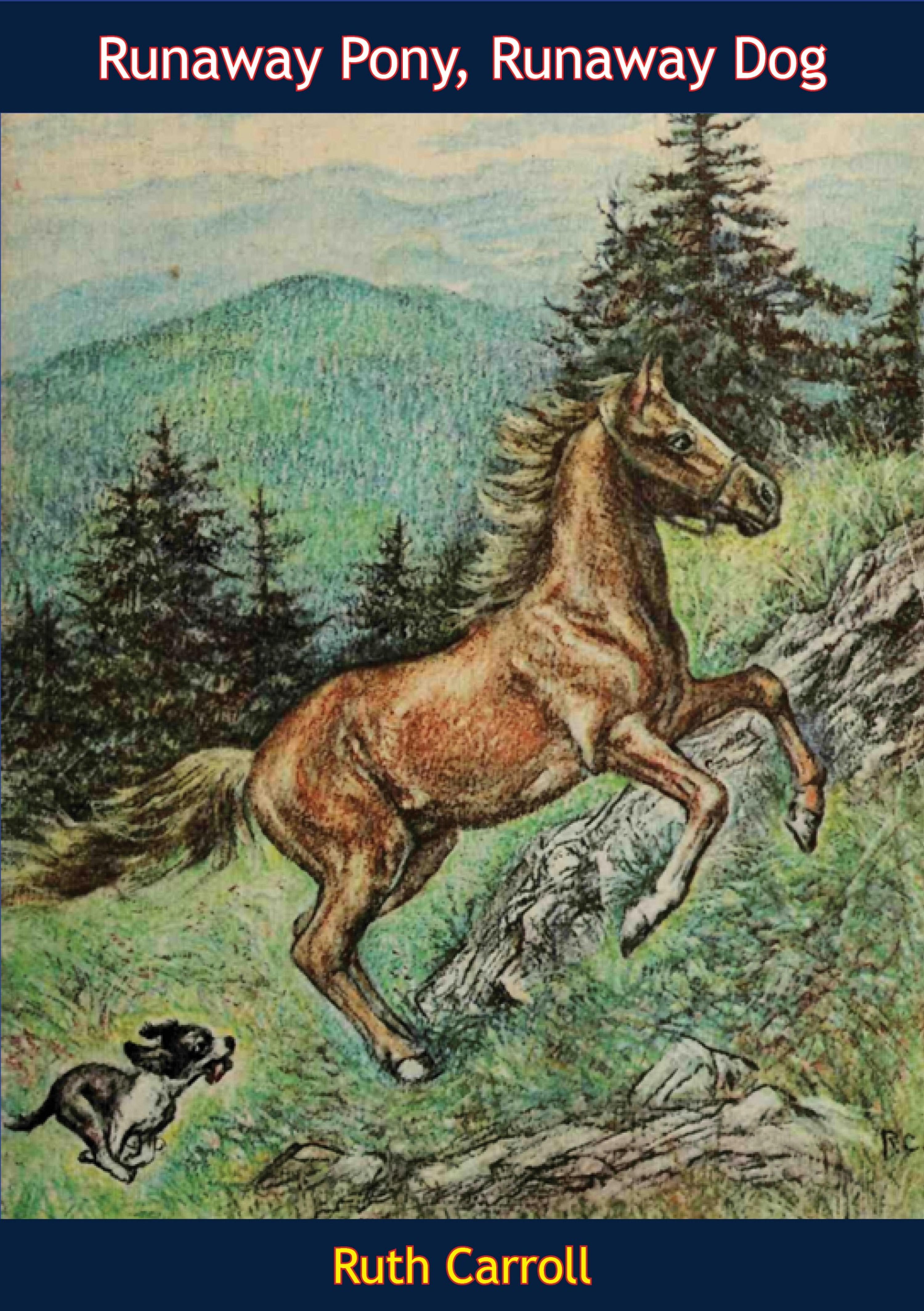 Cover image for Runaway Pony, Runaway Dog