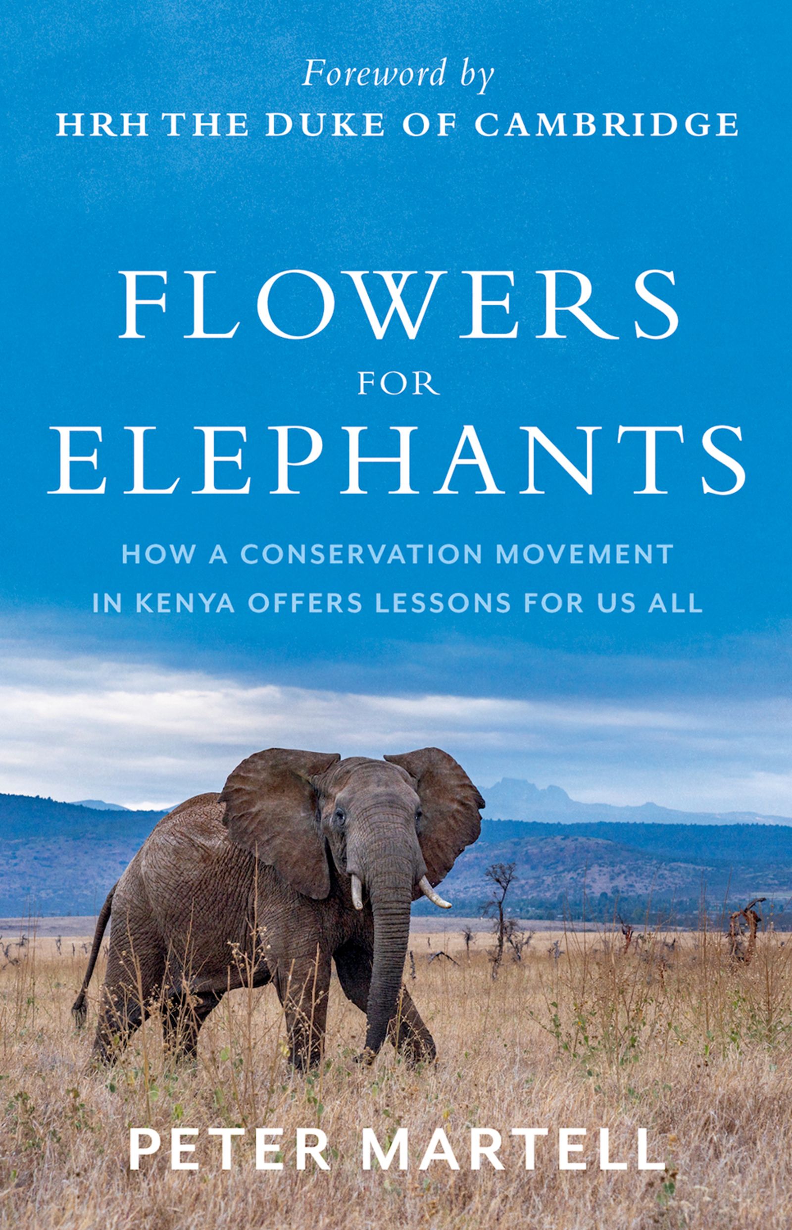 Cover image for Flowers for Elephants
