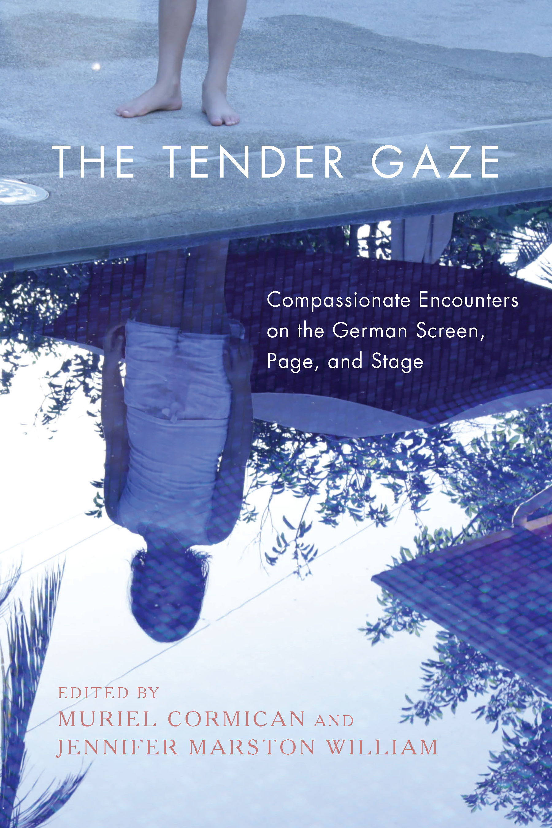 Cover image for The Tender Gaze