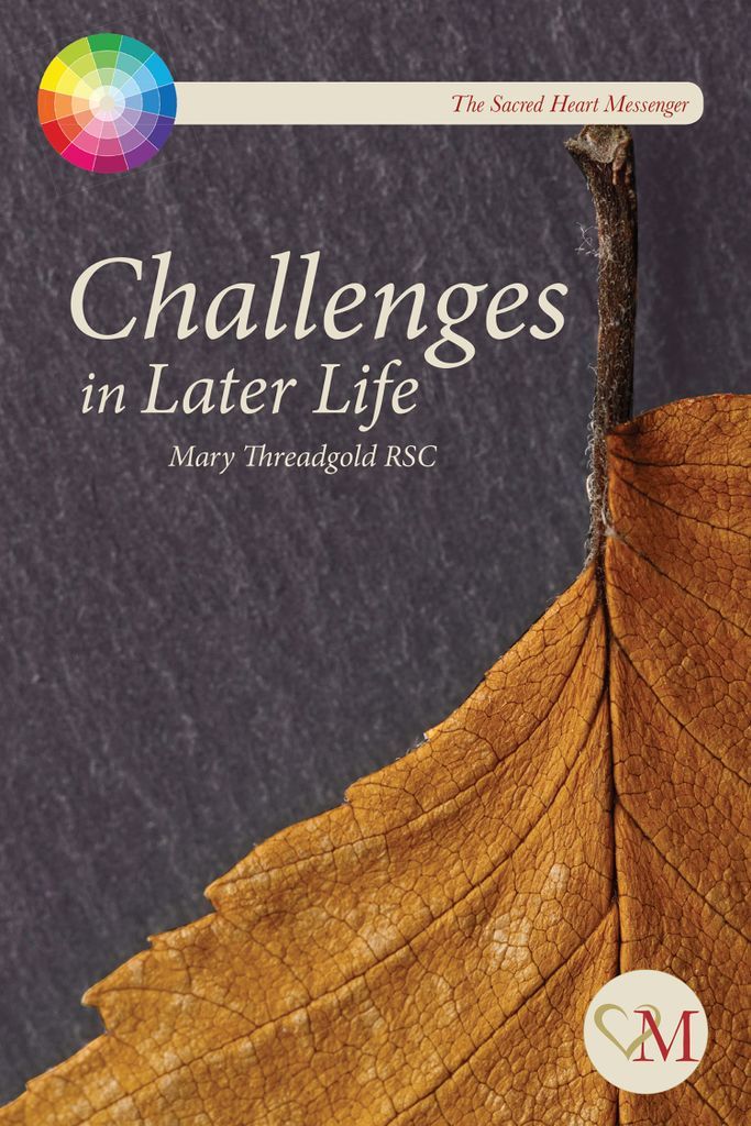 Cover image for Challenges in Later Life
