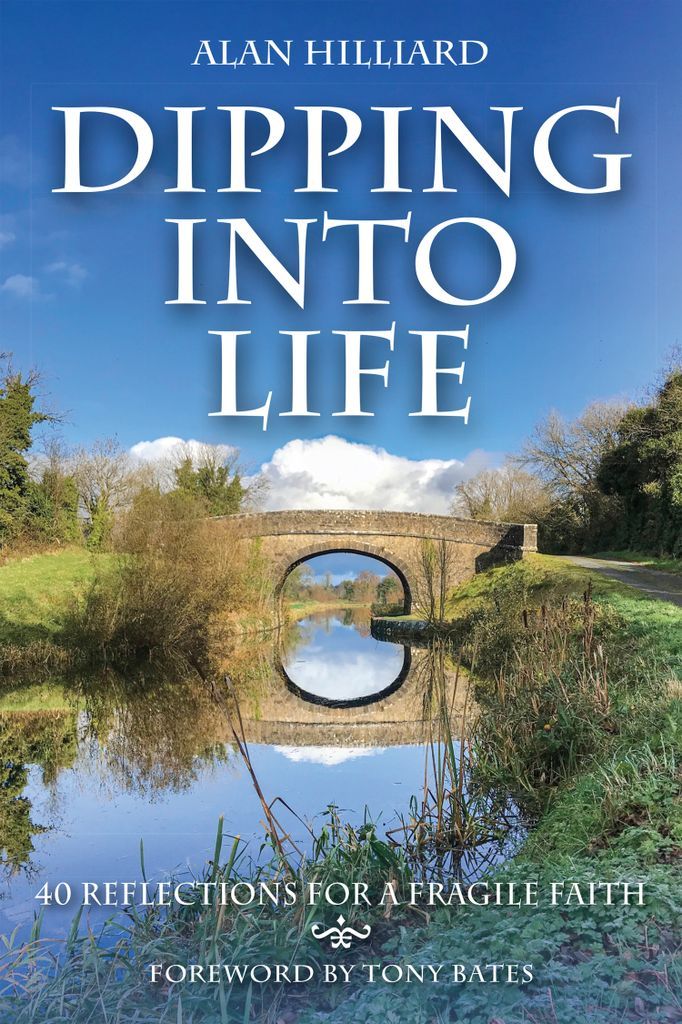 Cover image for Dipping into Life