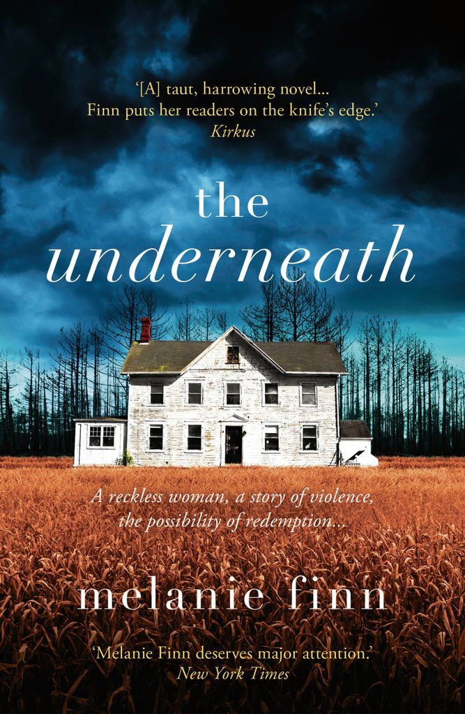 Cover image for The Underneath