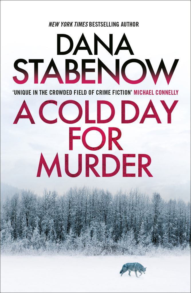 Cover image for A Cold Day for Murder