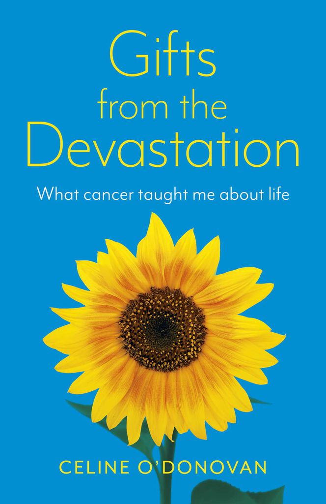 Cover image for Gifts from the Devastation