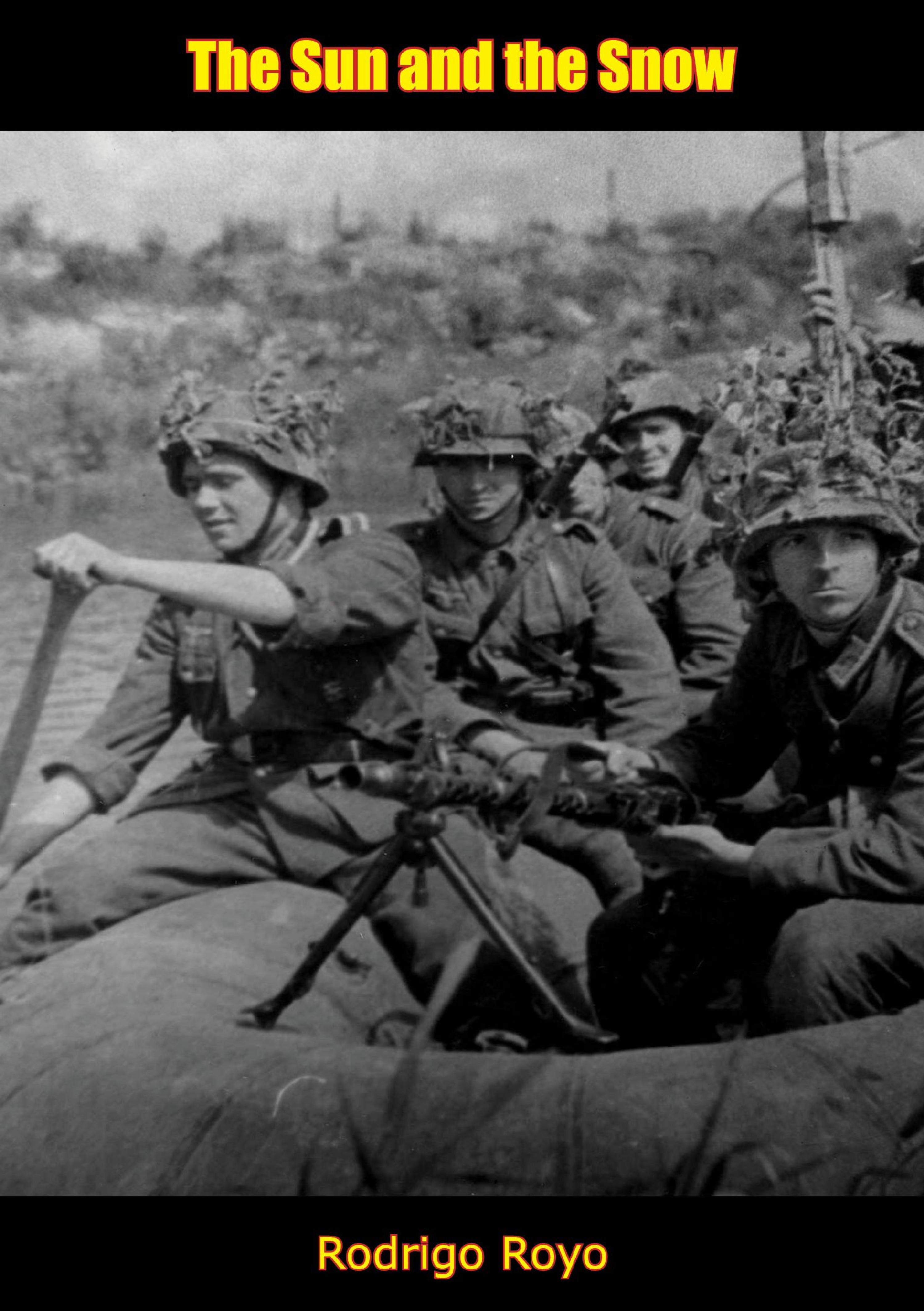 Cover image for The Sun and the Snow