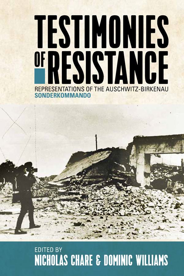 Cover image for Testimonies of Resistance