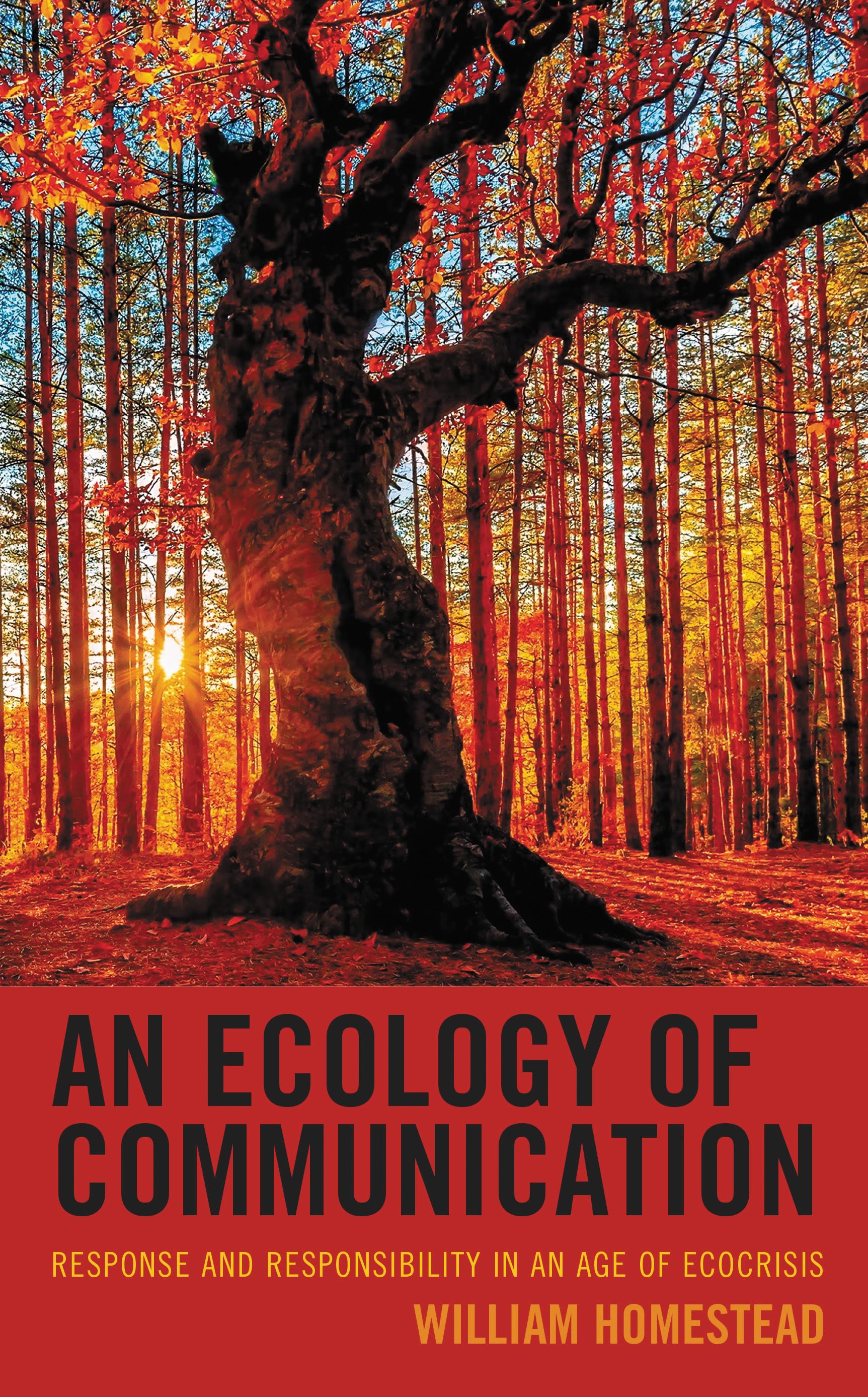Cover image for An Ecology of Communication