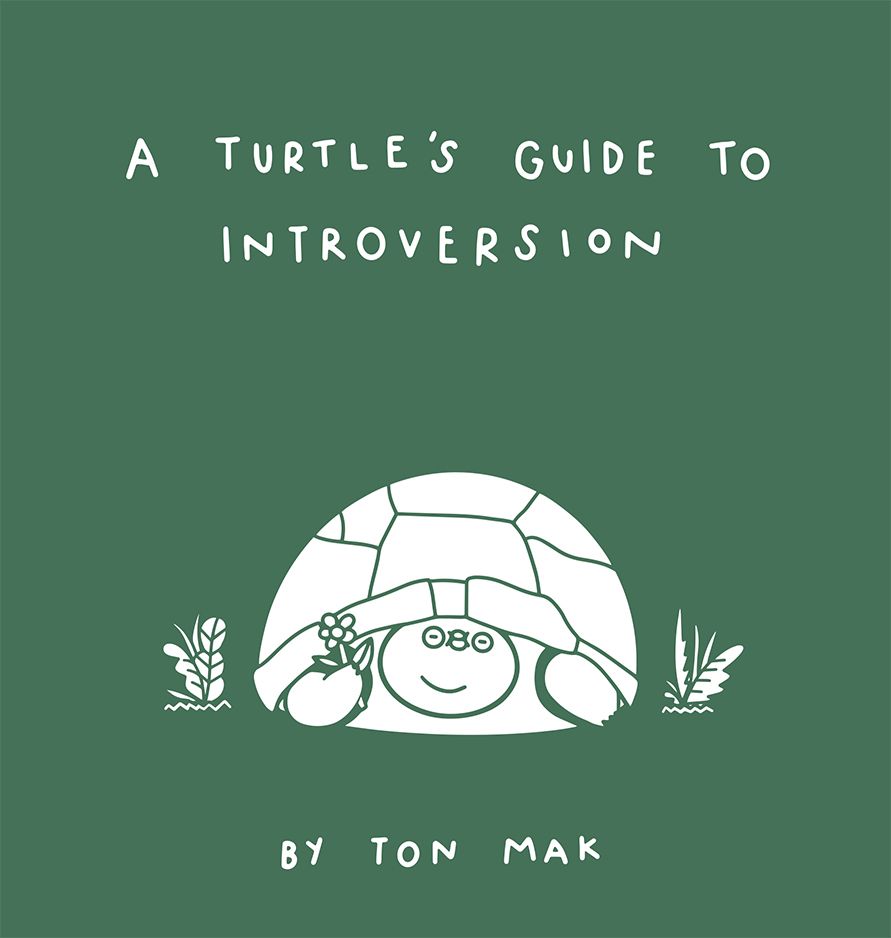 Cover image for A Turtle's Guide to Introversion
