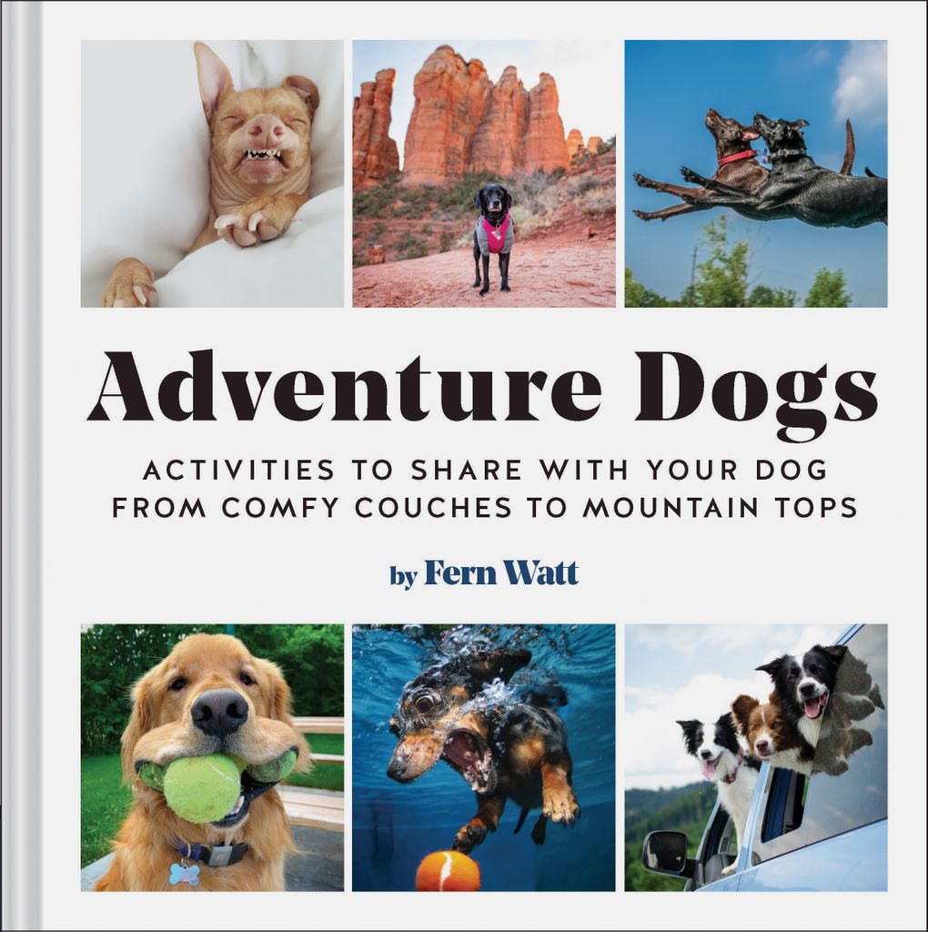 Cover image for Adventure Dogs