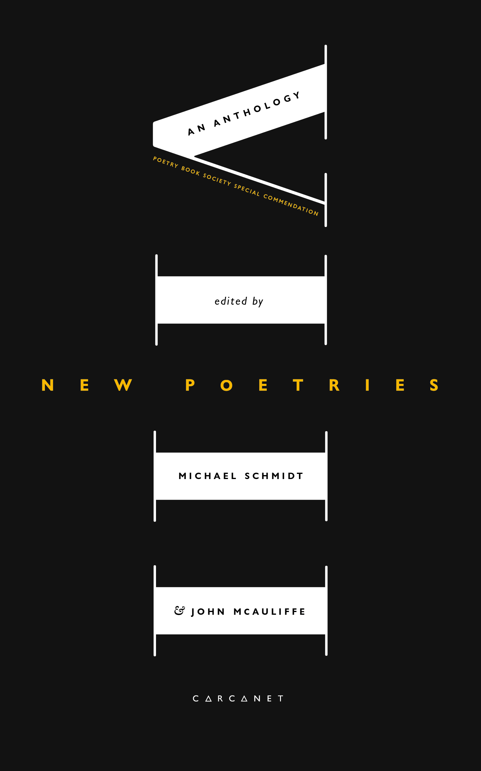 Cover image for New Poetries VIII