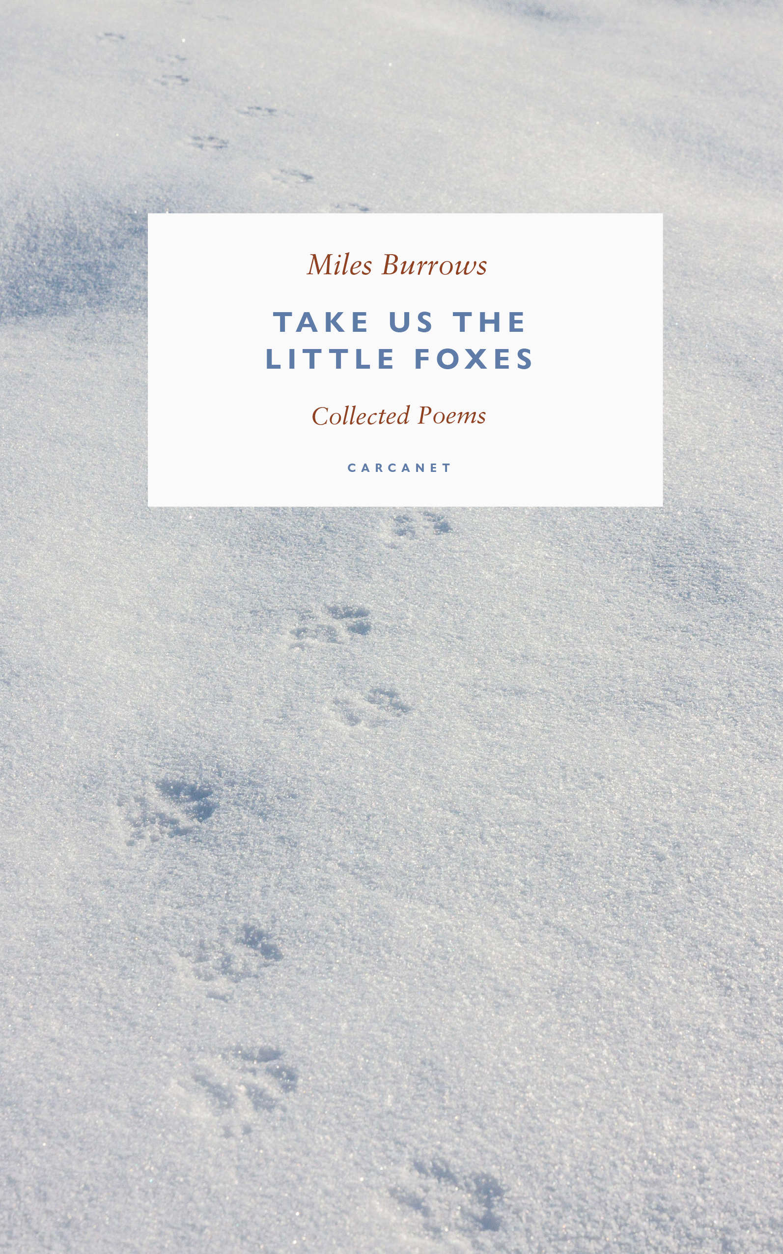 Cover image for Take us the Little Foxes