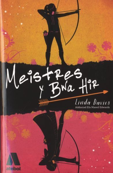 Cover image for Meistres y Bwa Hir