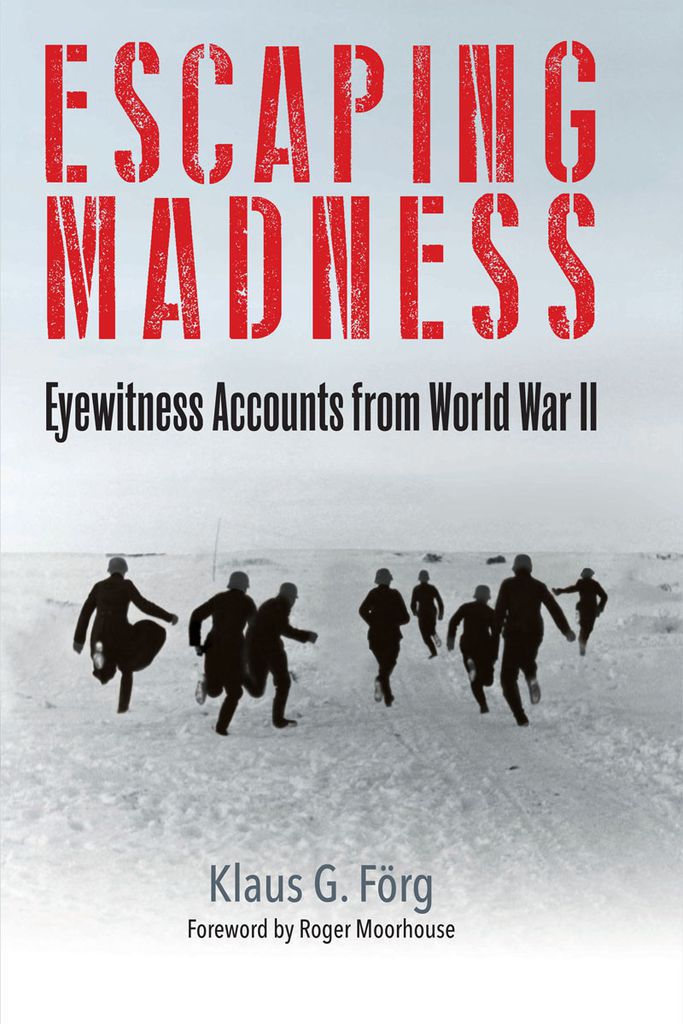 Cover image for Escaping Madness