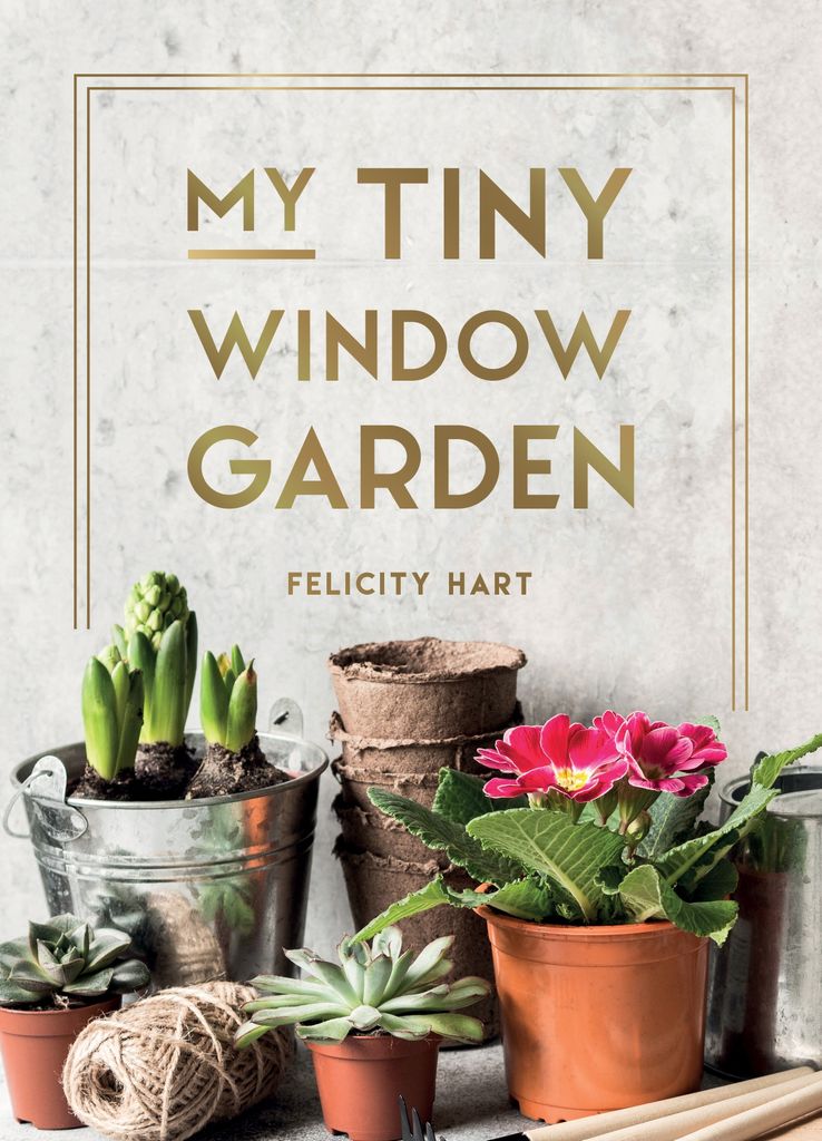 Cover image for My Tiny Window Garden