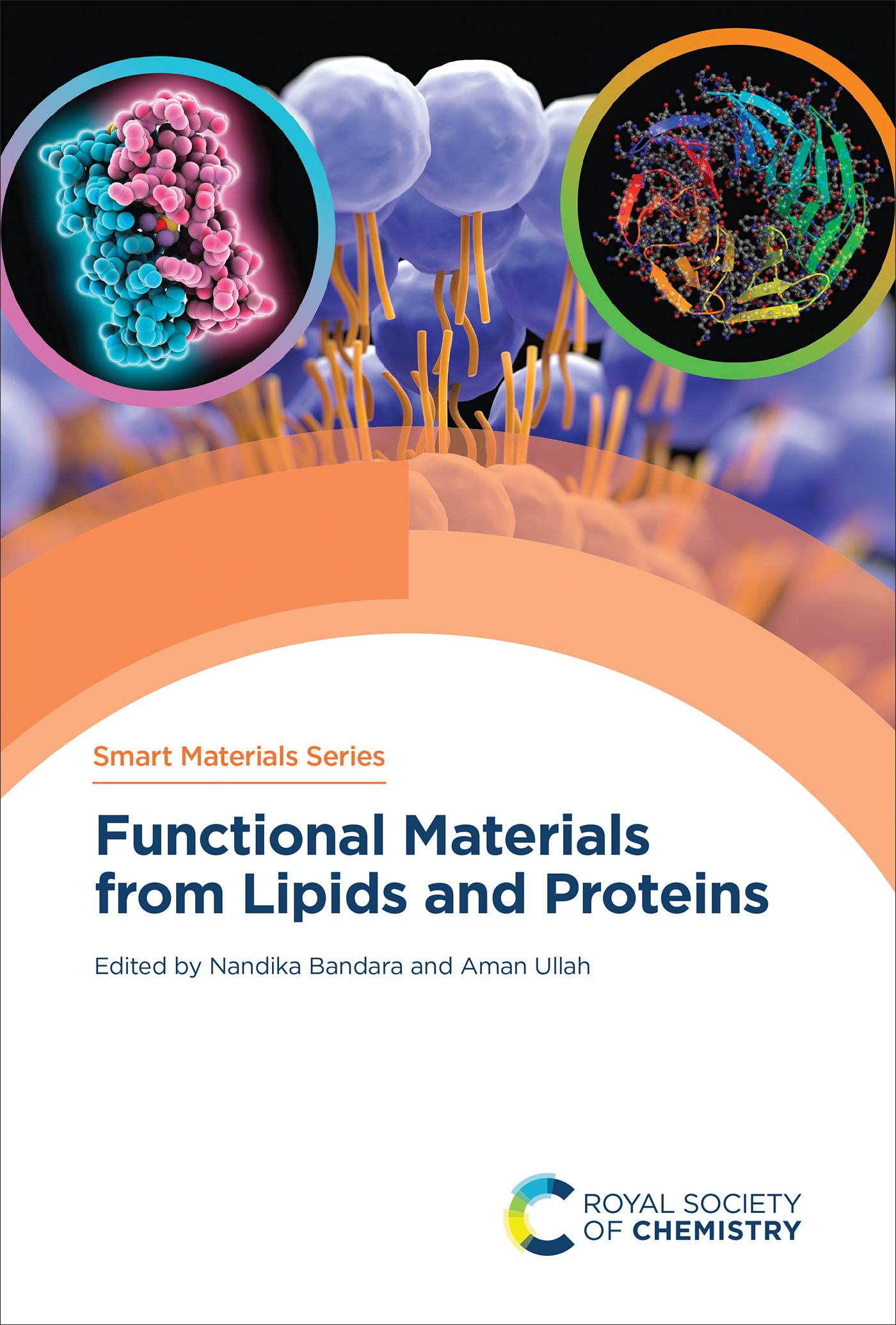 Cover image for Functional Materials from Lipids and Proteins