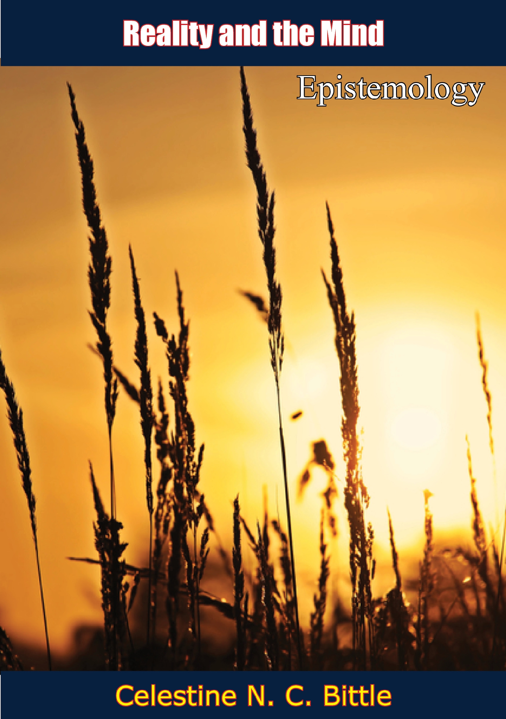 Cover image for Reality and the Mind