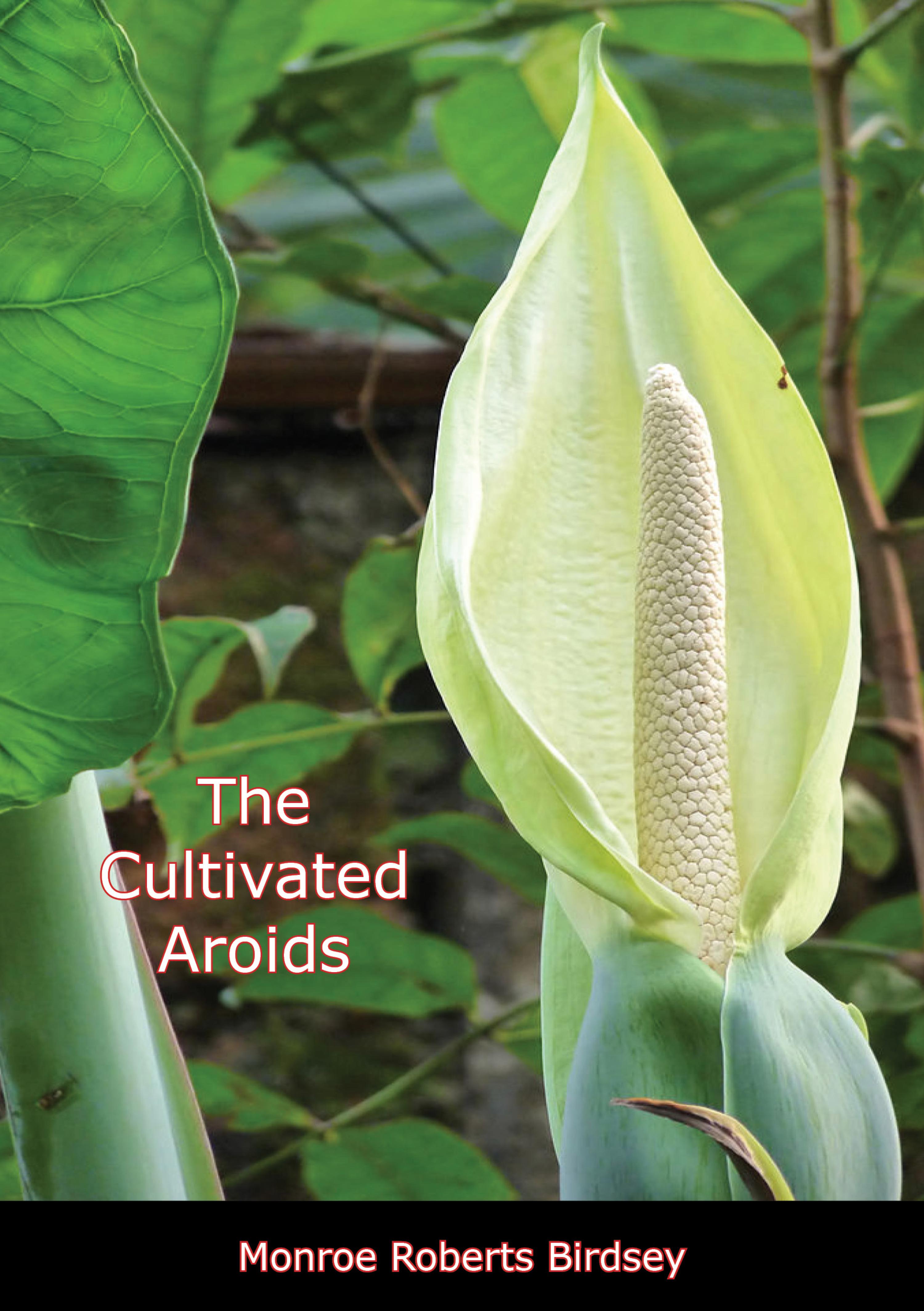 Cover image for The Cultivated Aroids