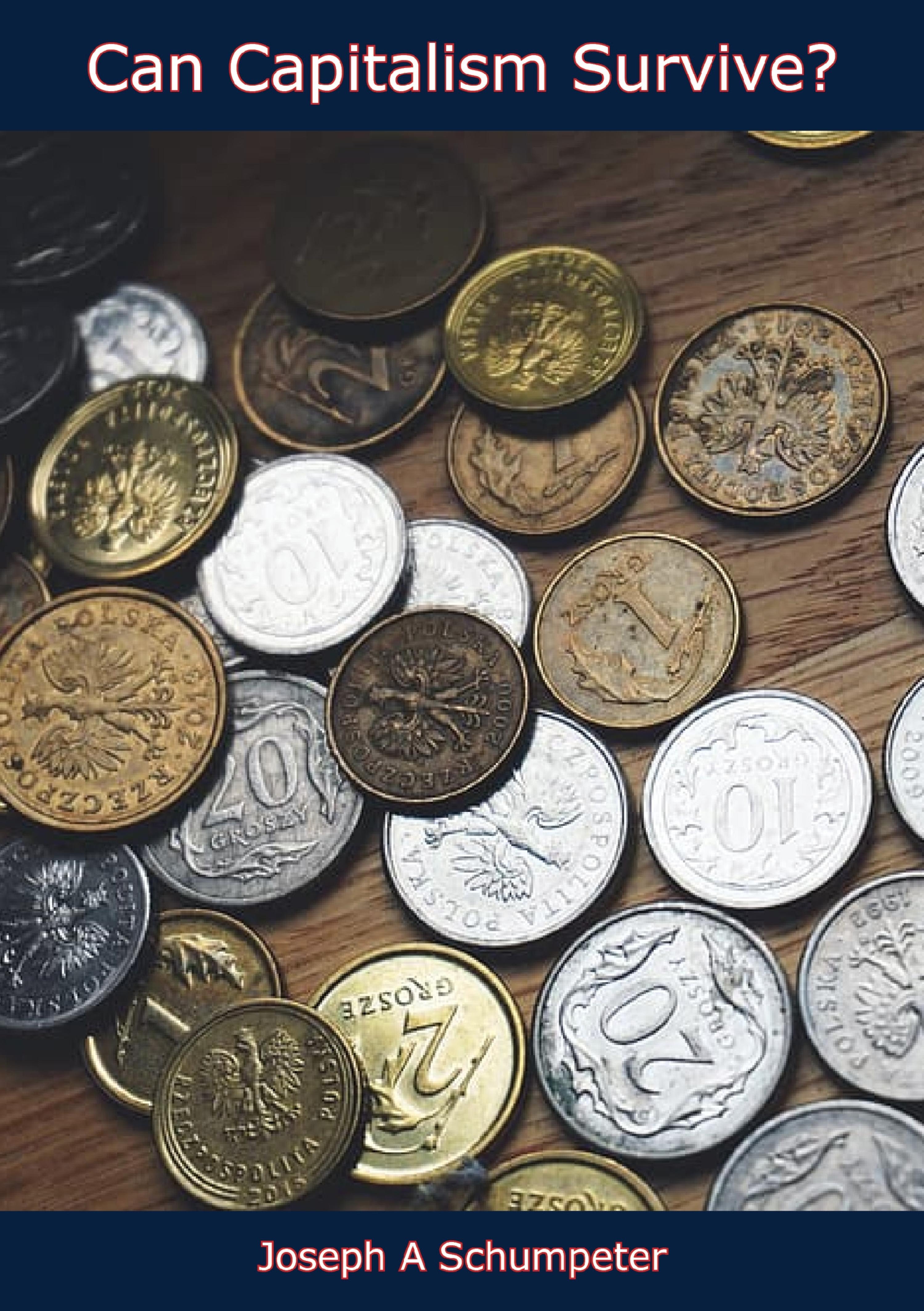 Cover image for Can Capitalism Survive?