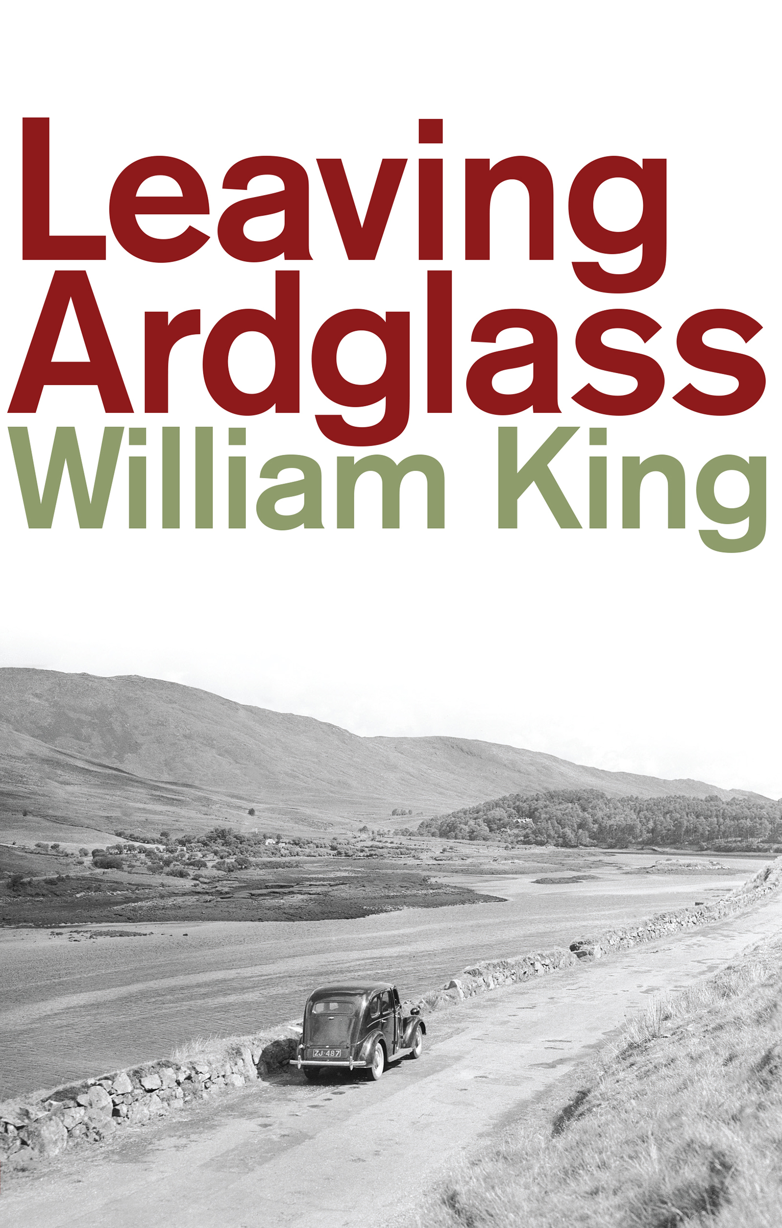 Cover image for Leaving Ardglass