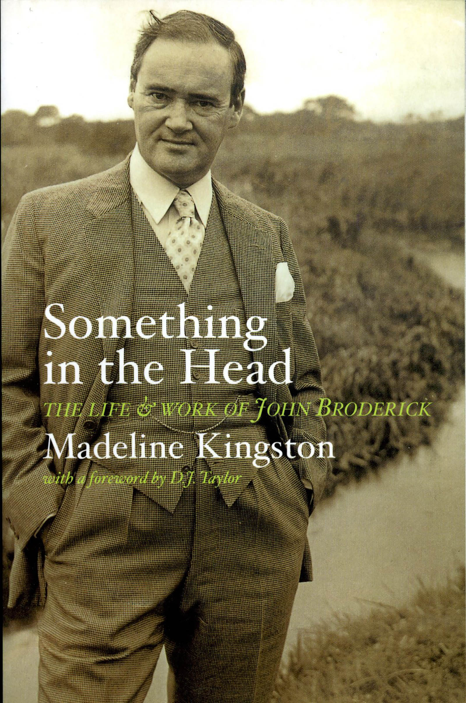 Cover image for Something in the Head