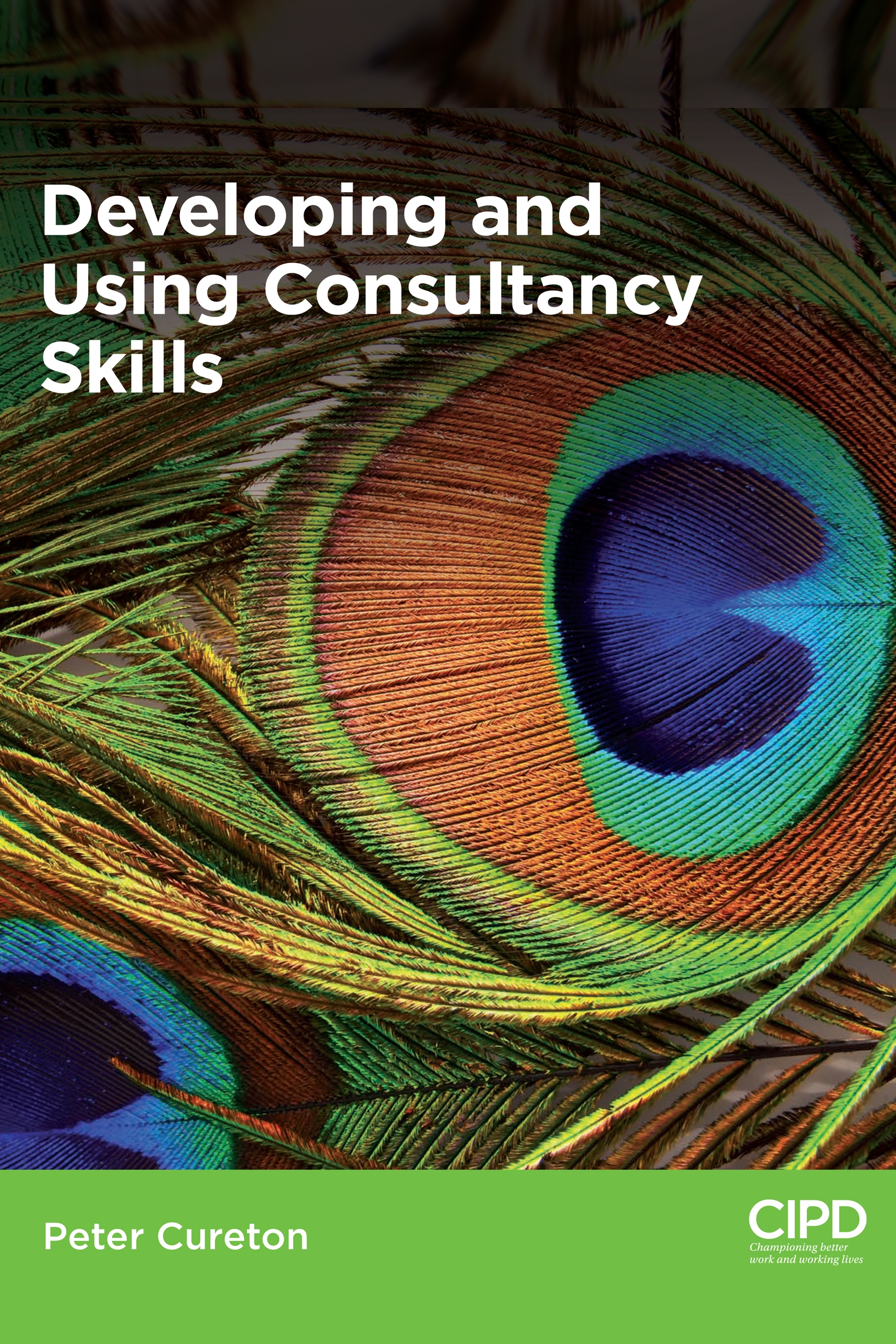 Cover image for Developing and Using Consultancy Skills