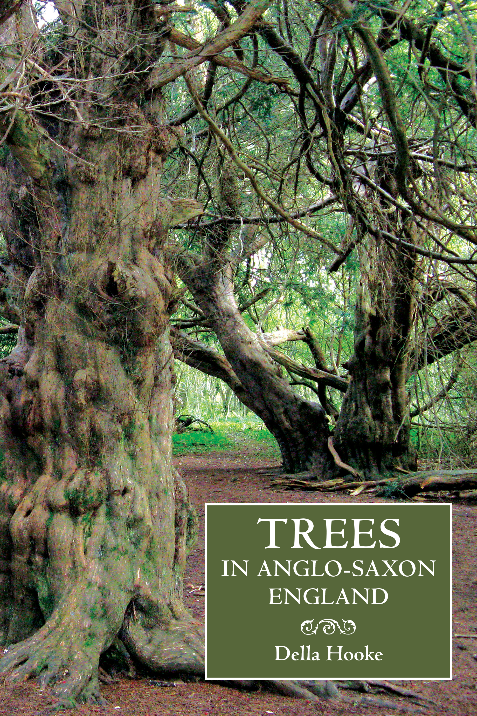 Cover image for Trees in Anglo-Saxon England