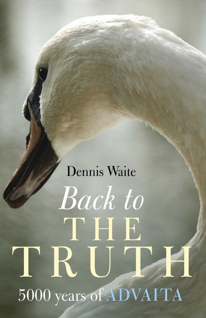 Cover image for Back To The Truth