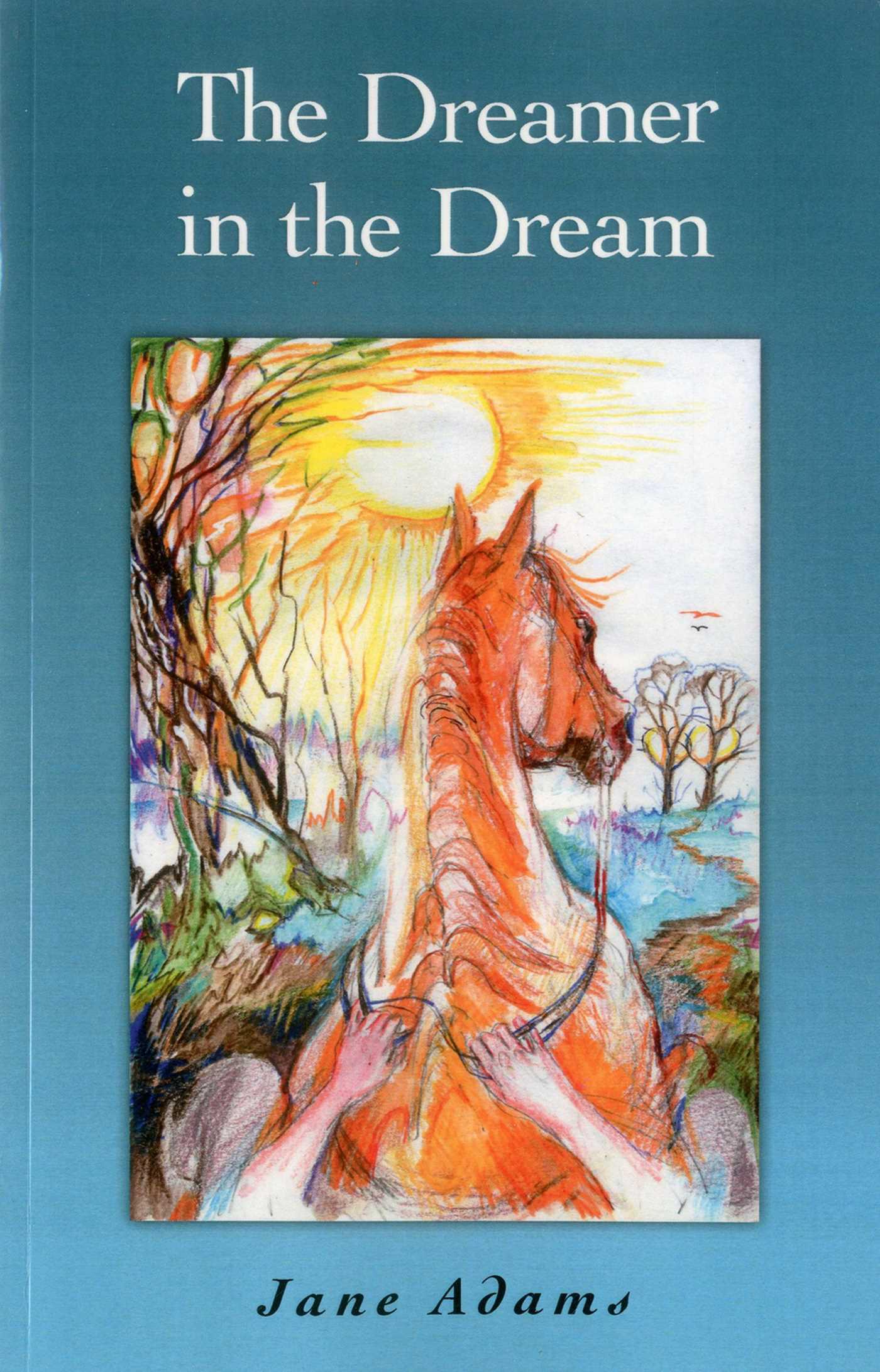 Cover image for The Dreamer in the Dream